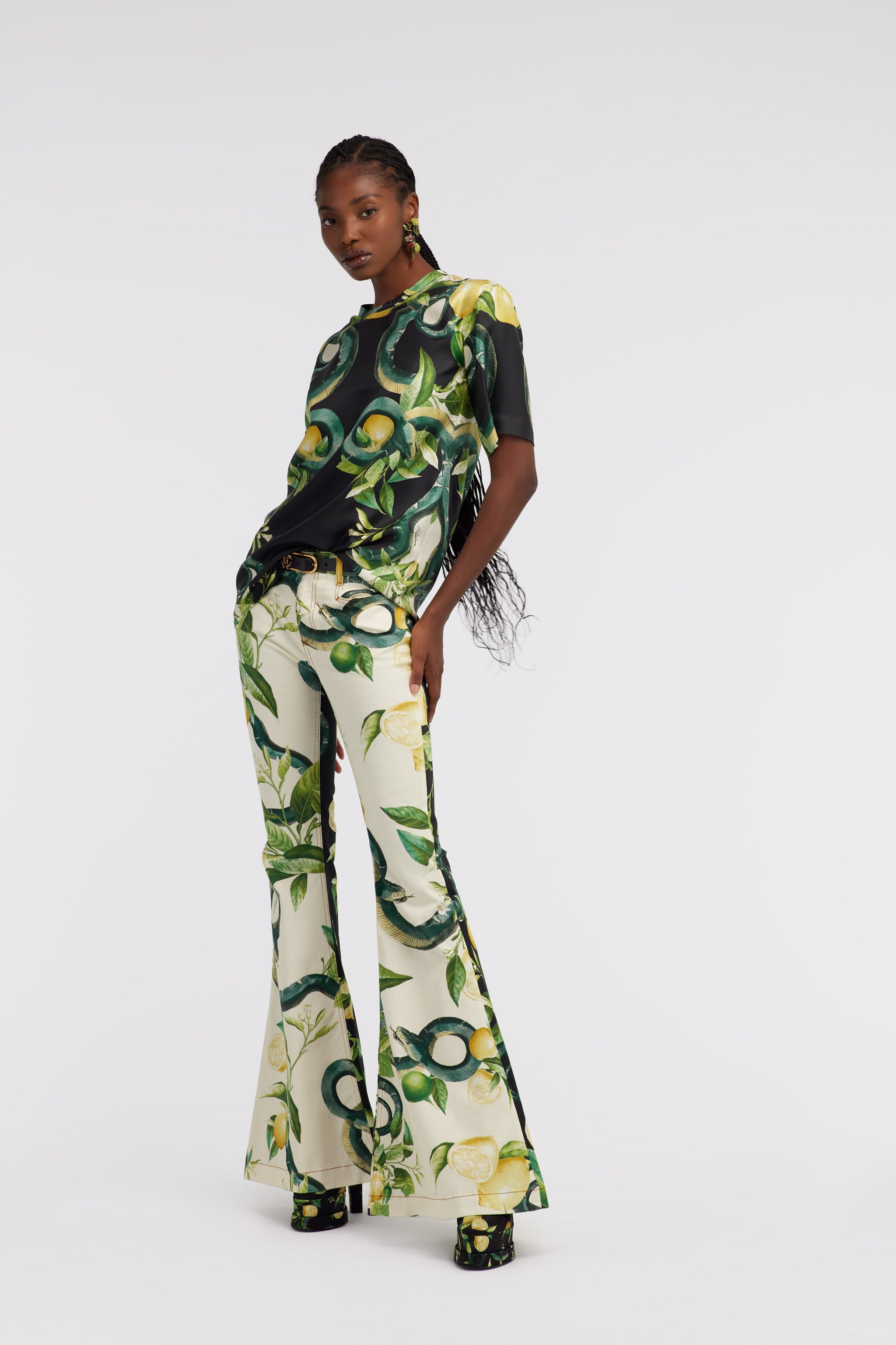 Shop Roberto Cavalli Lemon And Snake Print T-shirt In Black