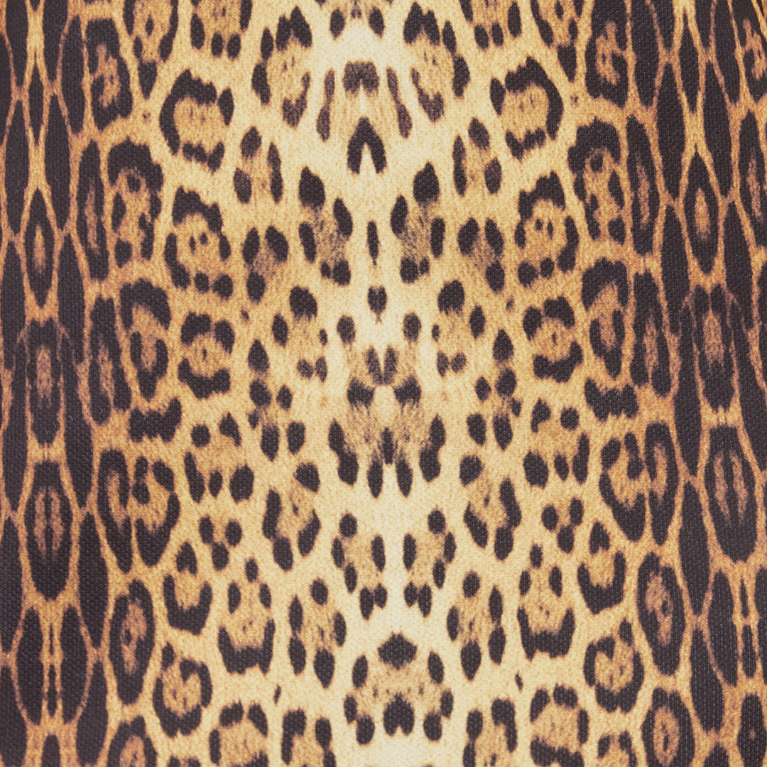 Roberto Cavalli Leopard Print Midi Dress In Animal Print