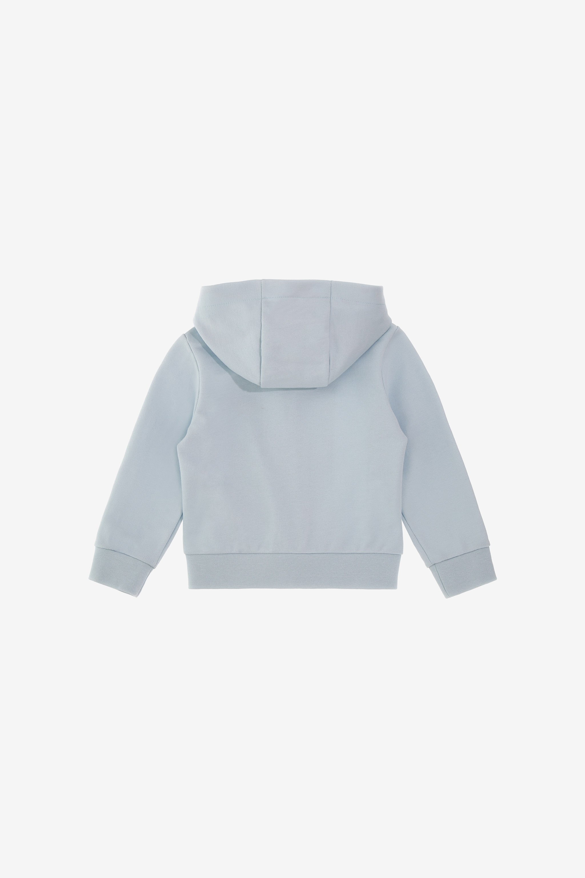 Roberto Cavalli Logo Sweatshirt In Light Blue