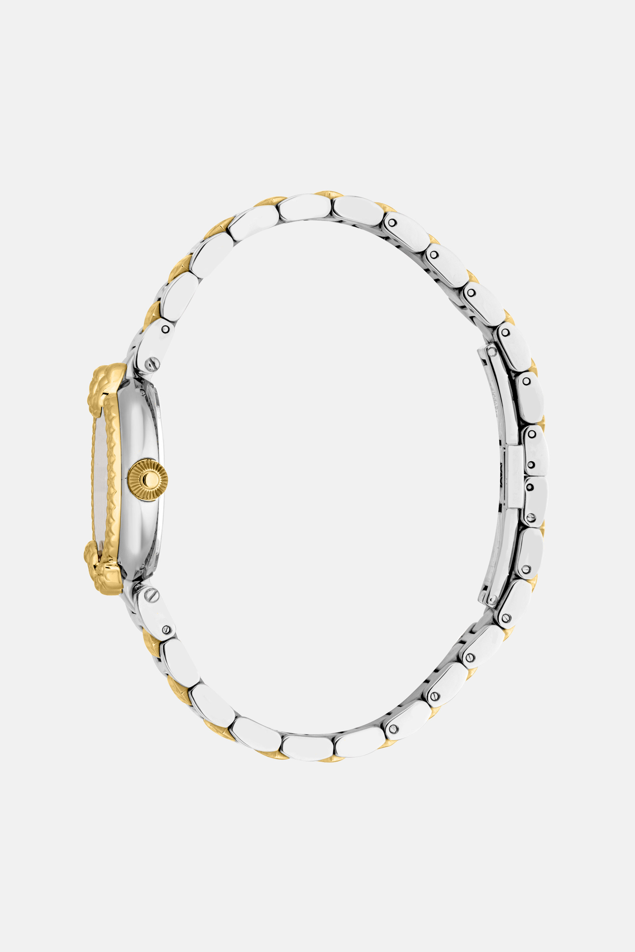 Roberto Cavalli By Frank Muller Snake Core Watch In Silver/gold