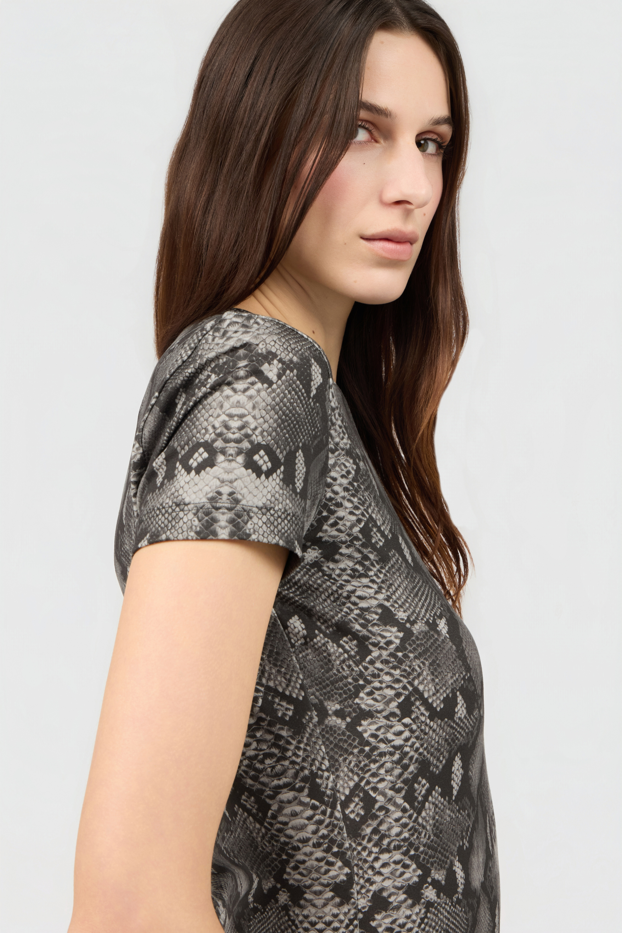 Roberto Cavalli Python Print T-shirt In Multi