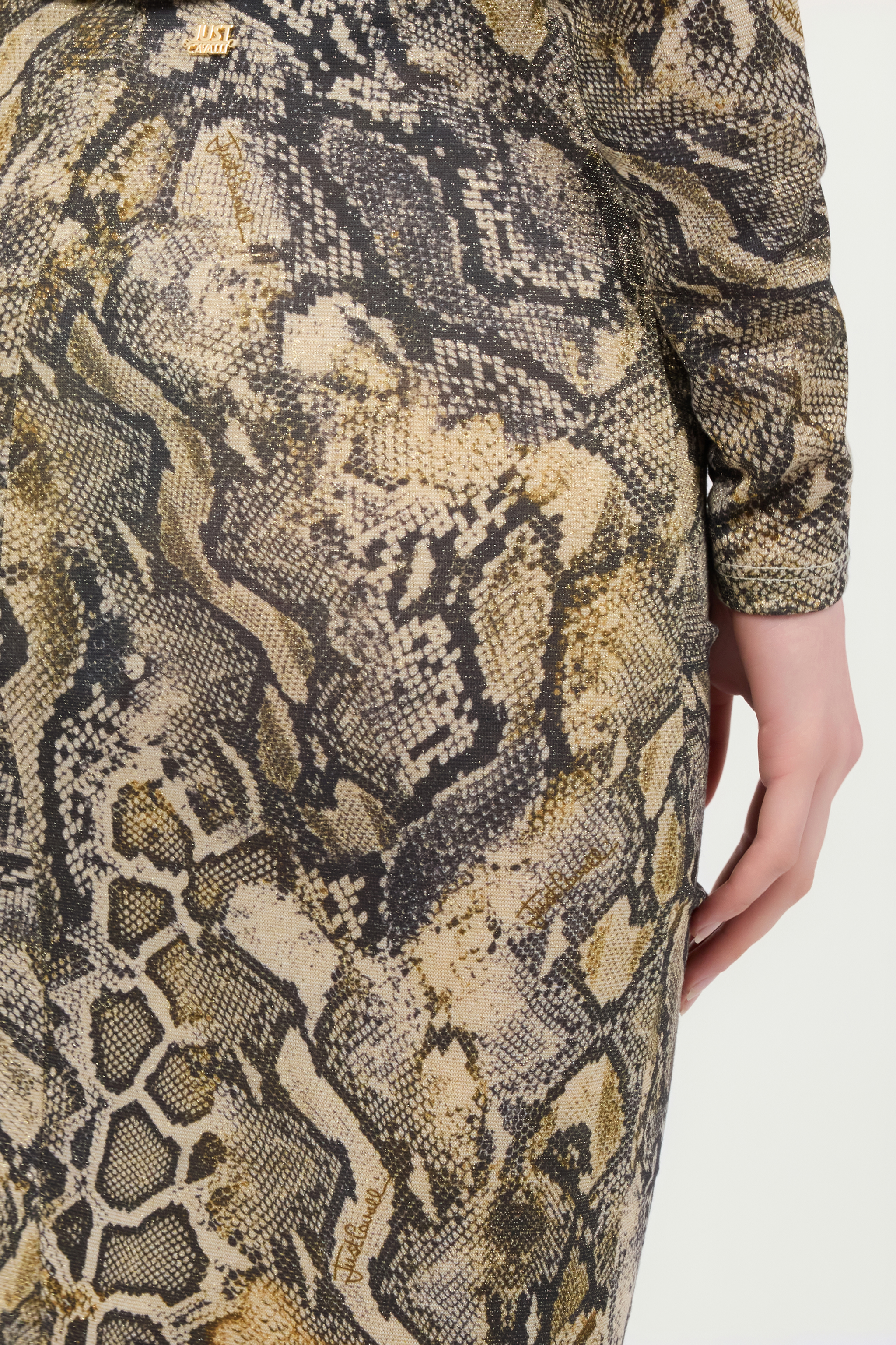 Shop Roberto Cavalli Rock Mit Print Python In Corteccia