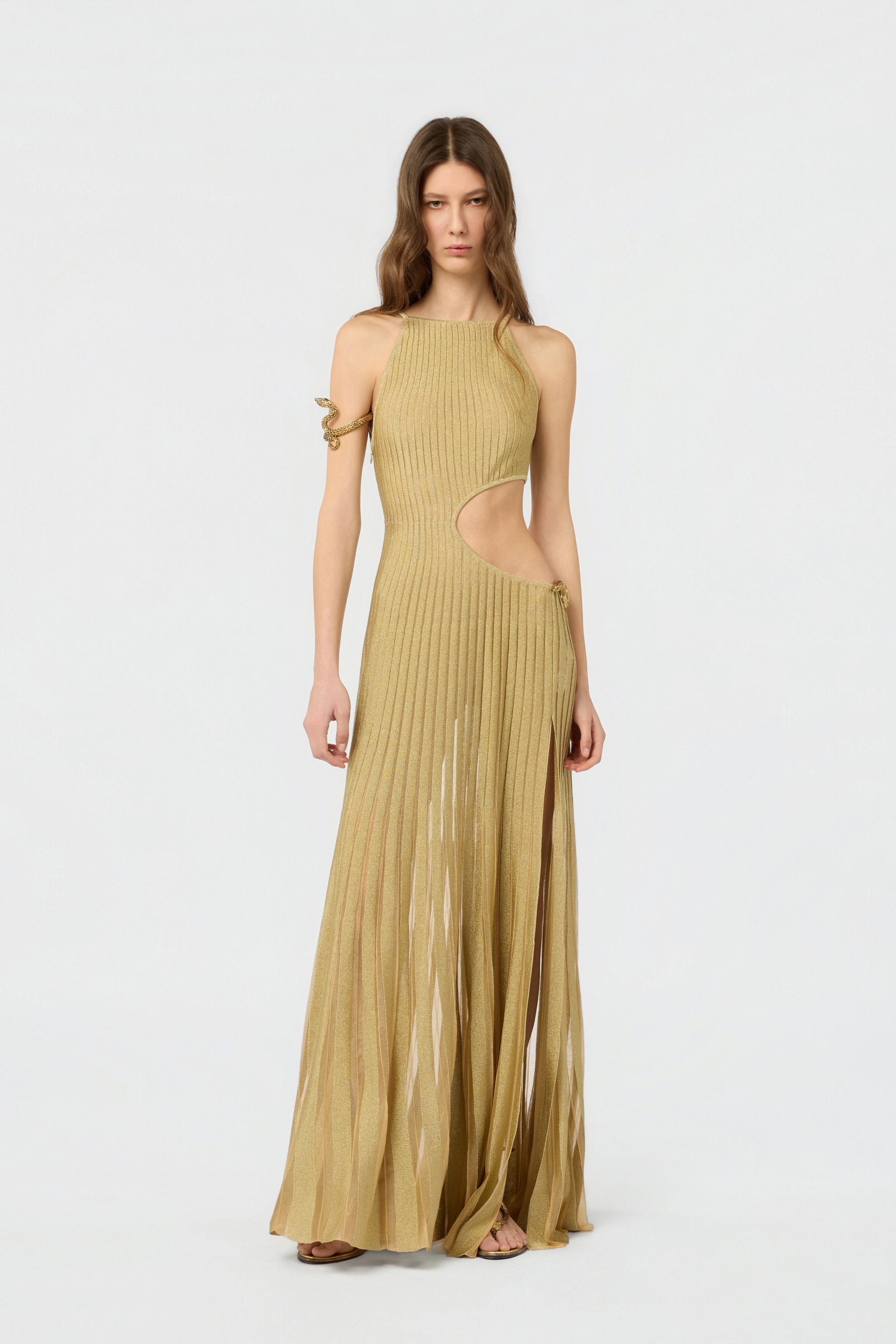 Roberto Cavalli Long Sheer Gold Dress With Cut-outs In Nude