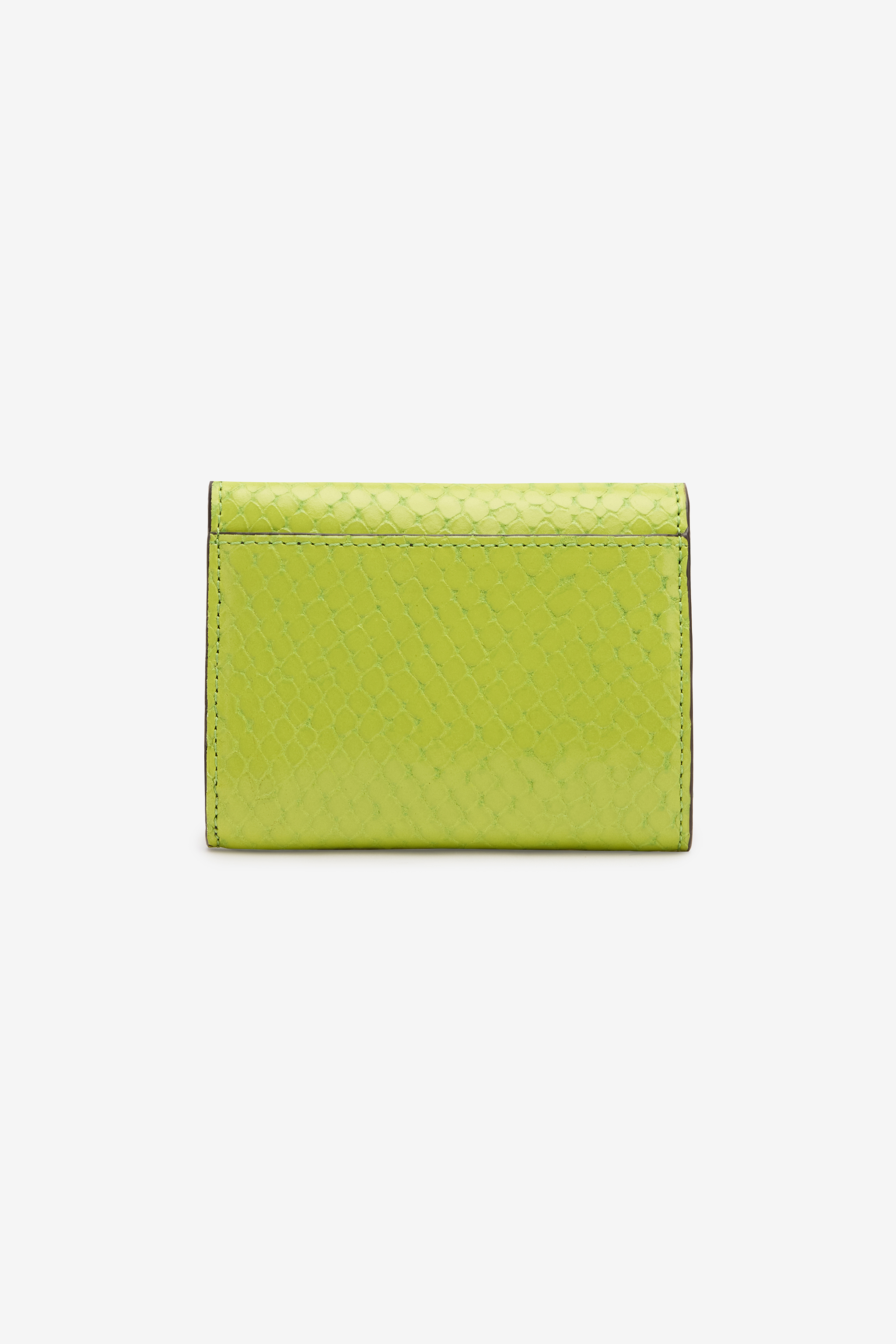 Shop Roberto Cavalli Snake-effect Card Holder With Logo In Light Green
