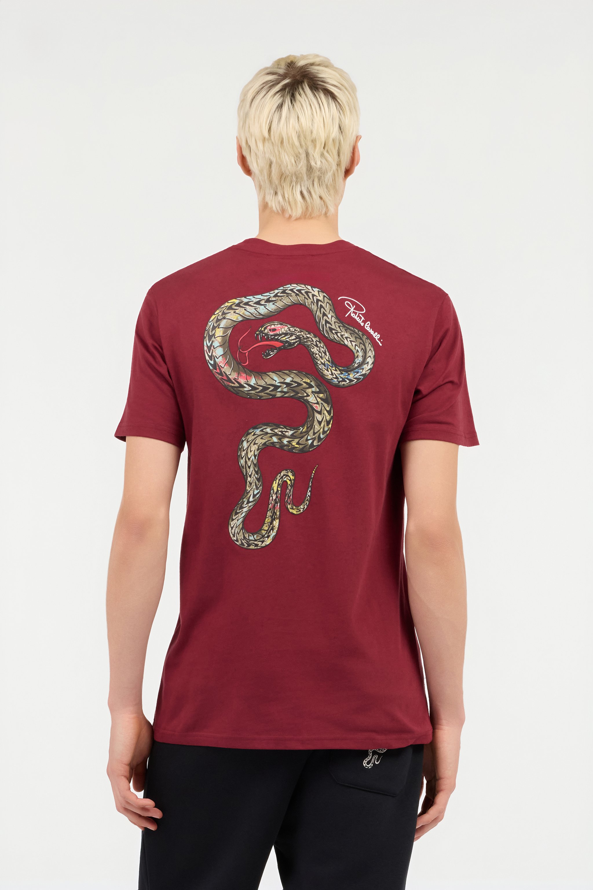 Burgundy Snake Print T-Shirt