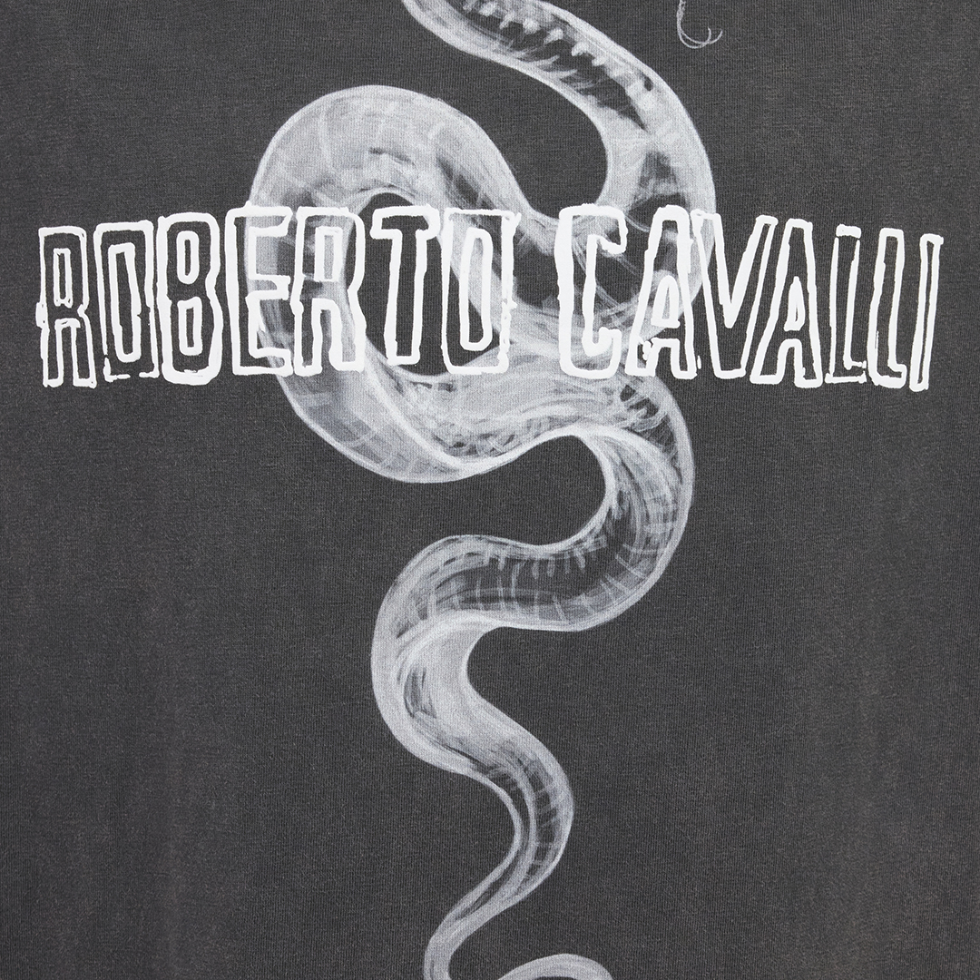 Grey T-Shirt With Snake Logo Print