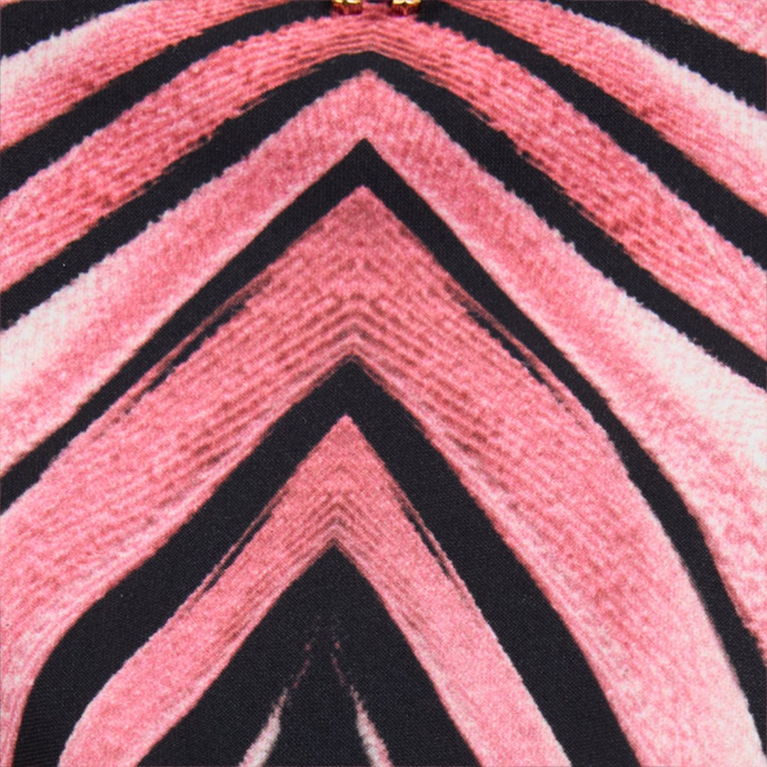 Swim Briefs With Ray Of Pink Print