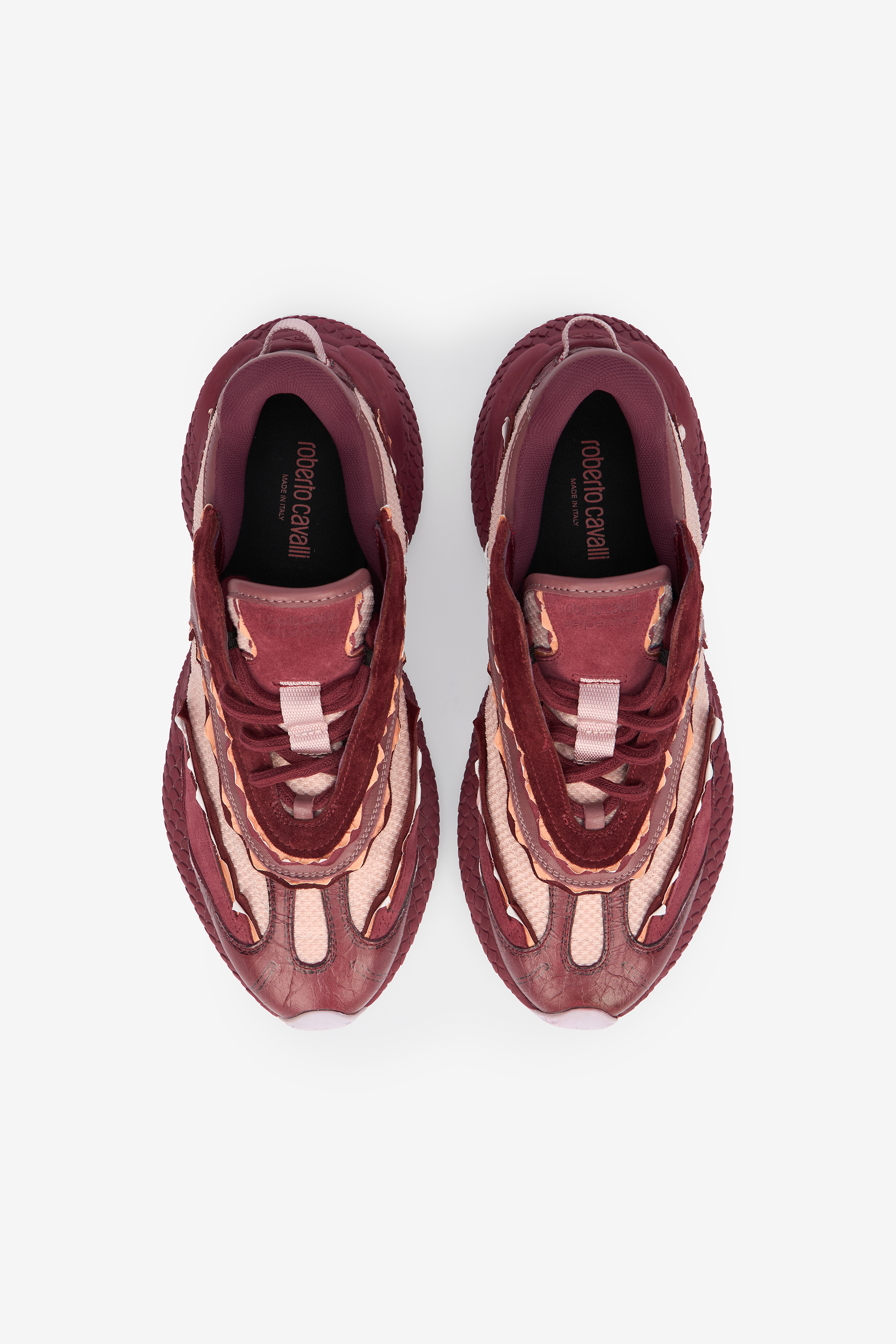 Roberto Cavalli Serpentine Sneaker In Purple