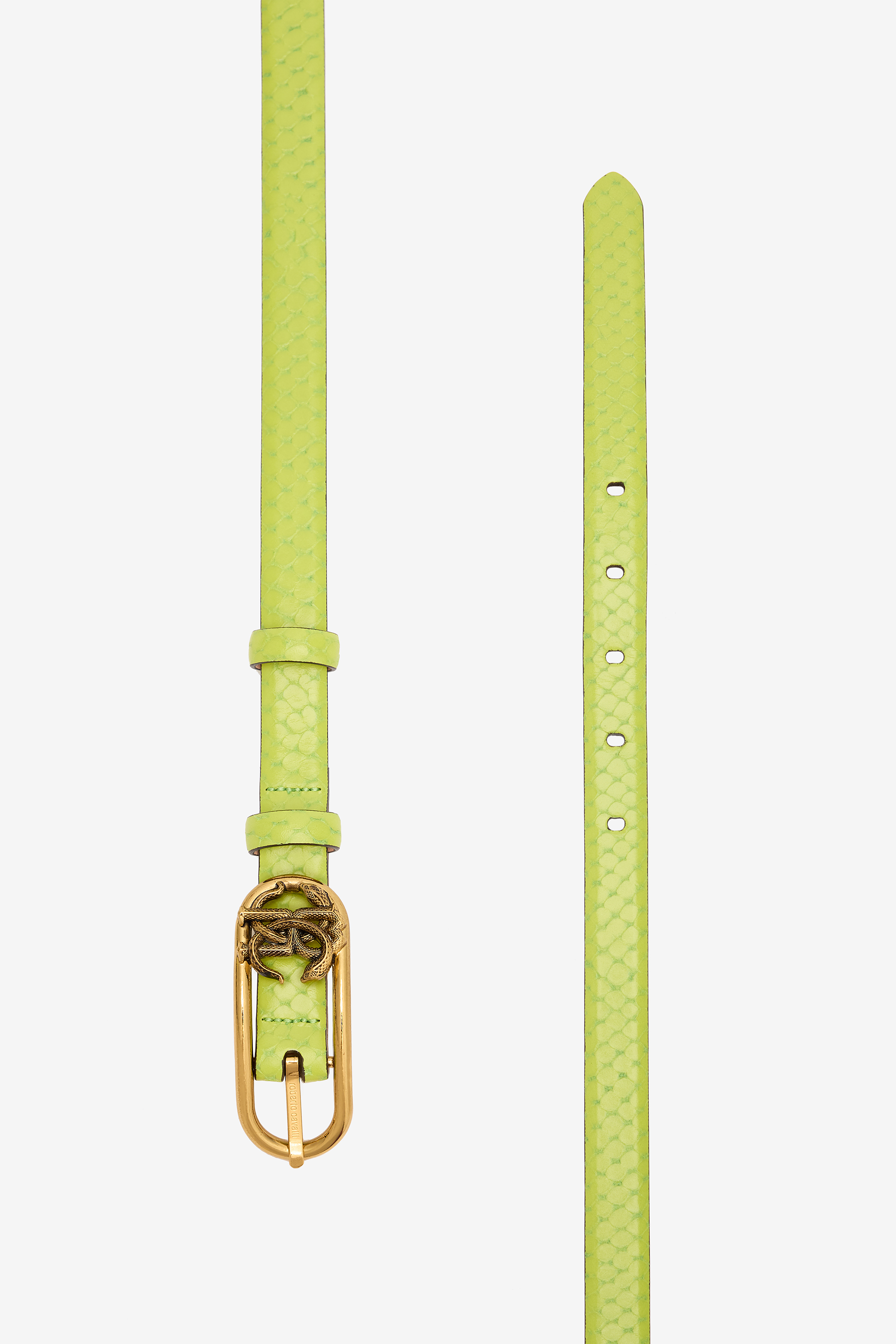  Roberto Cavalli Snake-effect Belt With Mirror Snake Monogram - Female  Light Green 95 