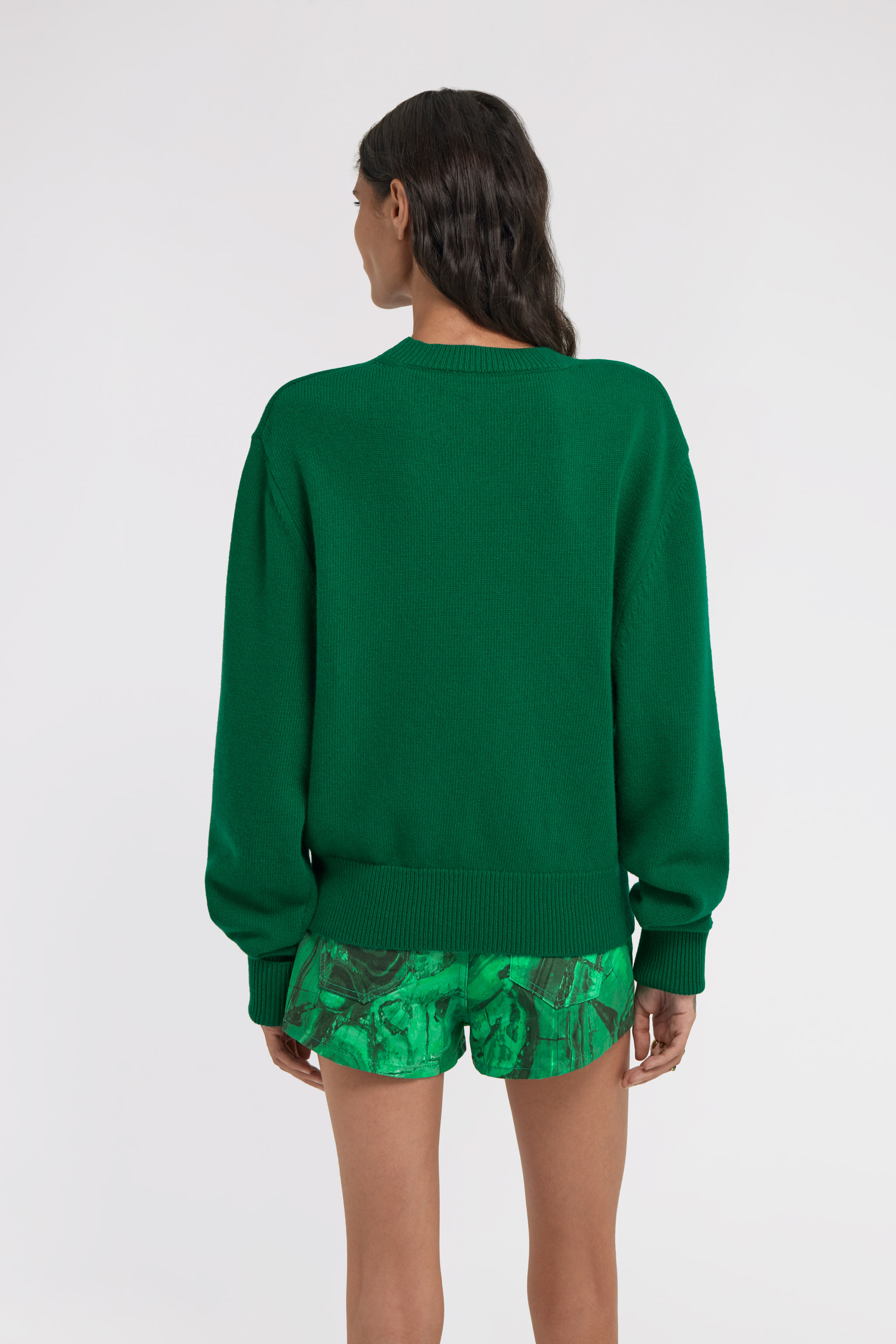 Roberto Cavalli Embroidered Wool Sweater In Green