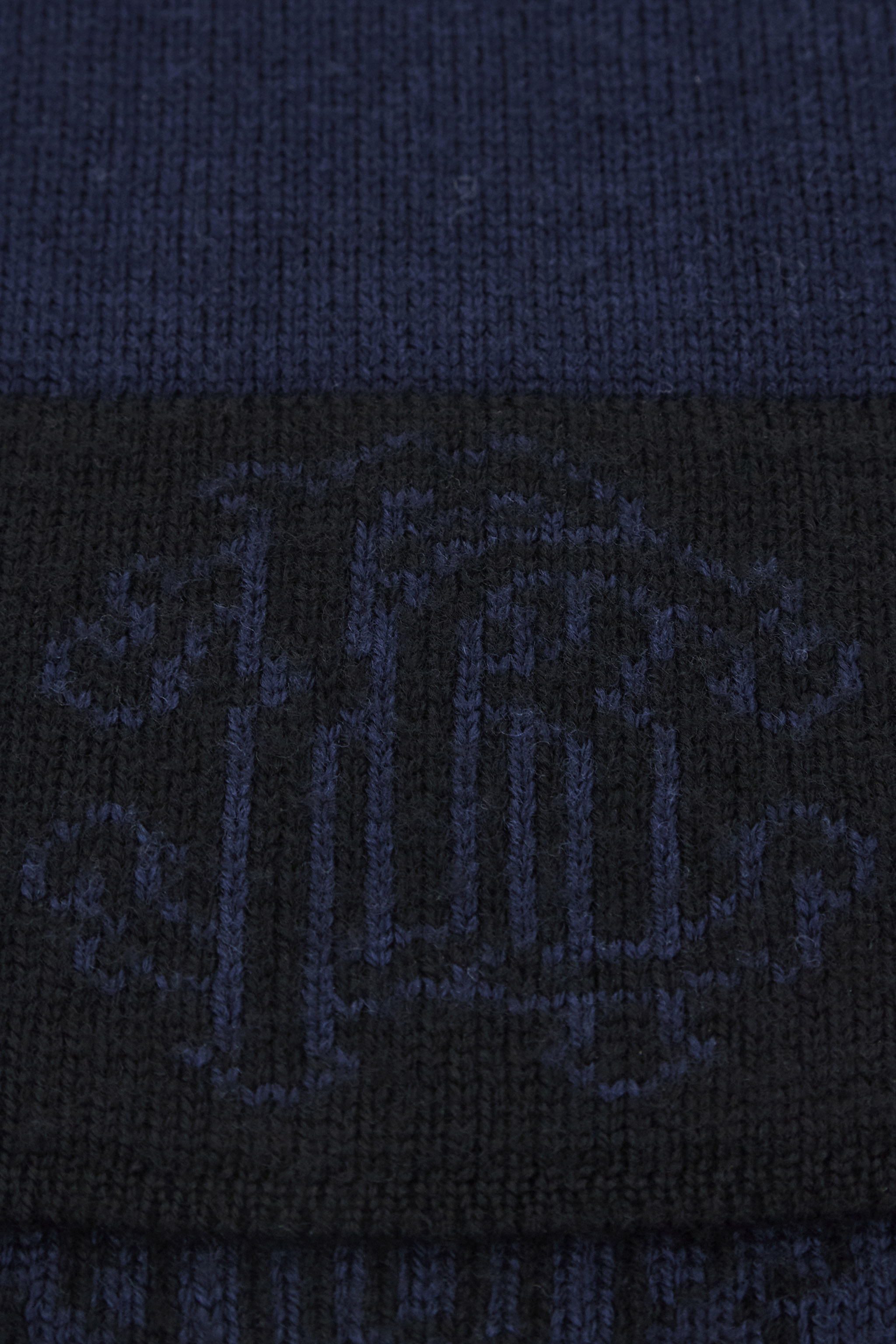 Roberto Cavalli Scarf With Monogram Rc In Dark Blue