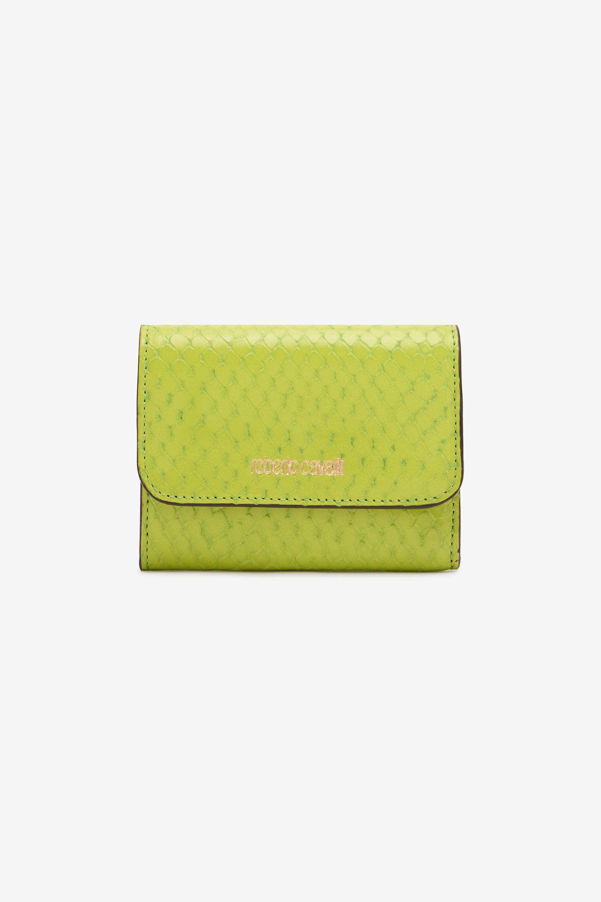 Shop Roberto Cavalli Snake-effect Card Holder With Logo In Light Green