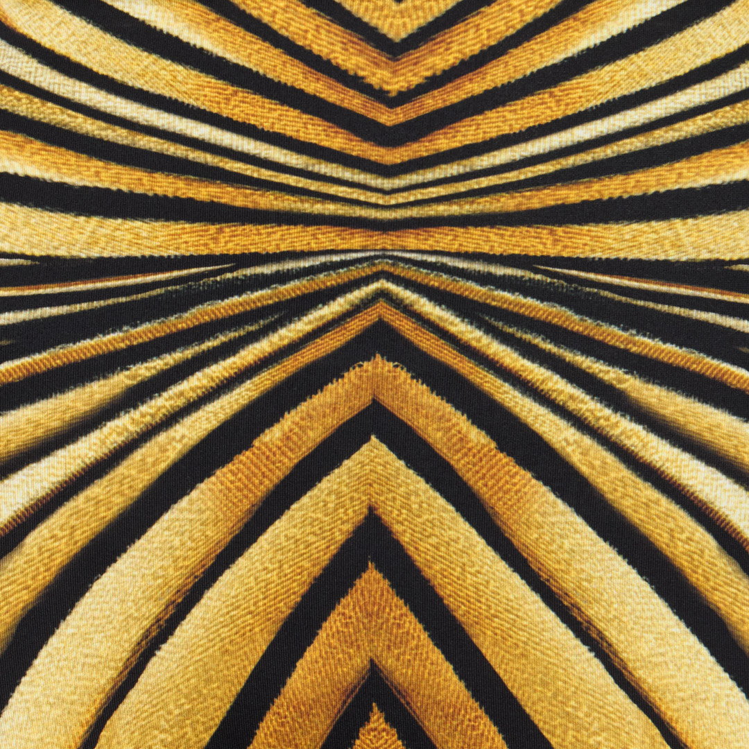 Ray Of Gold Print Jumpsuit