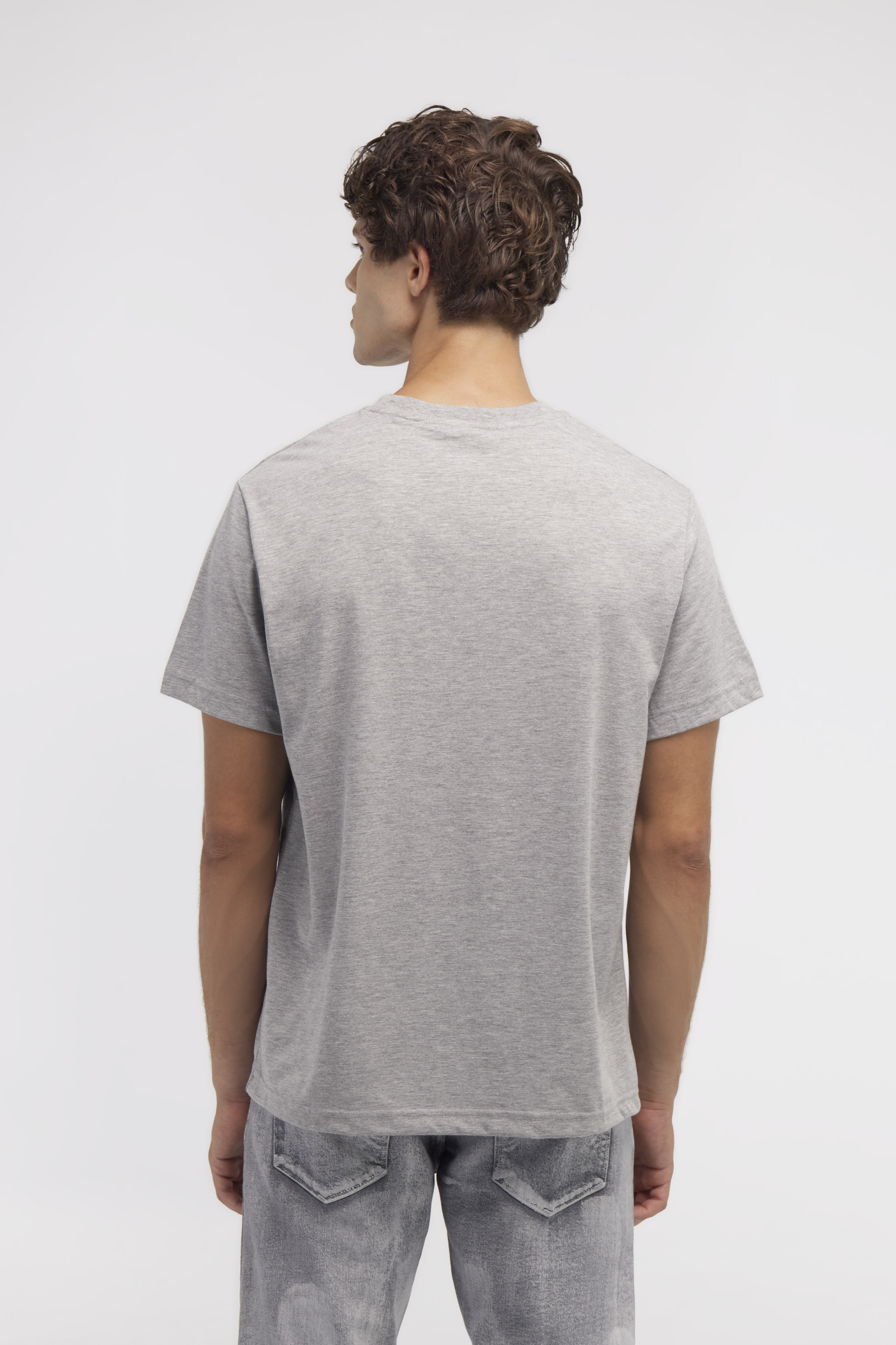 Shop Roberto Cavalli T-shirt With Horse Logo And Print In Gray