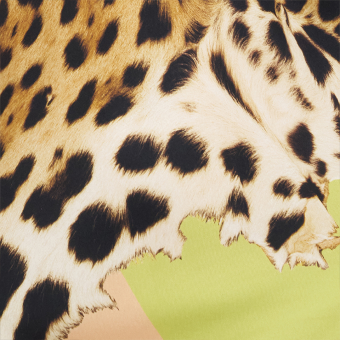 Roberto Cavalli Colorblock Jaguar-print Silk Maxi Slip Dress In Multi