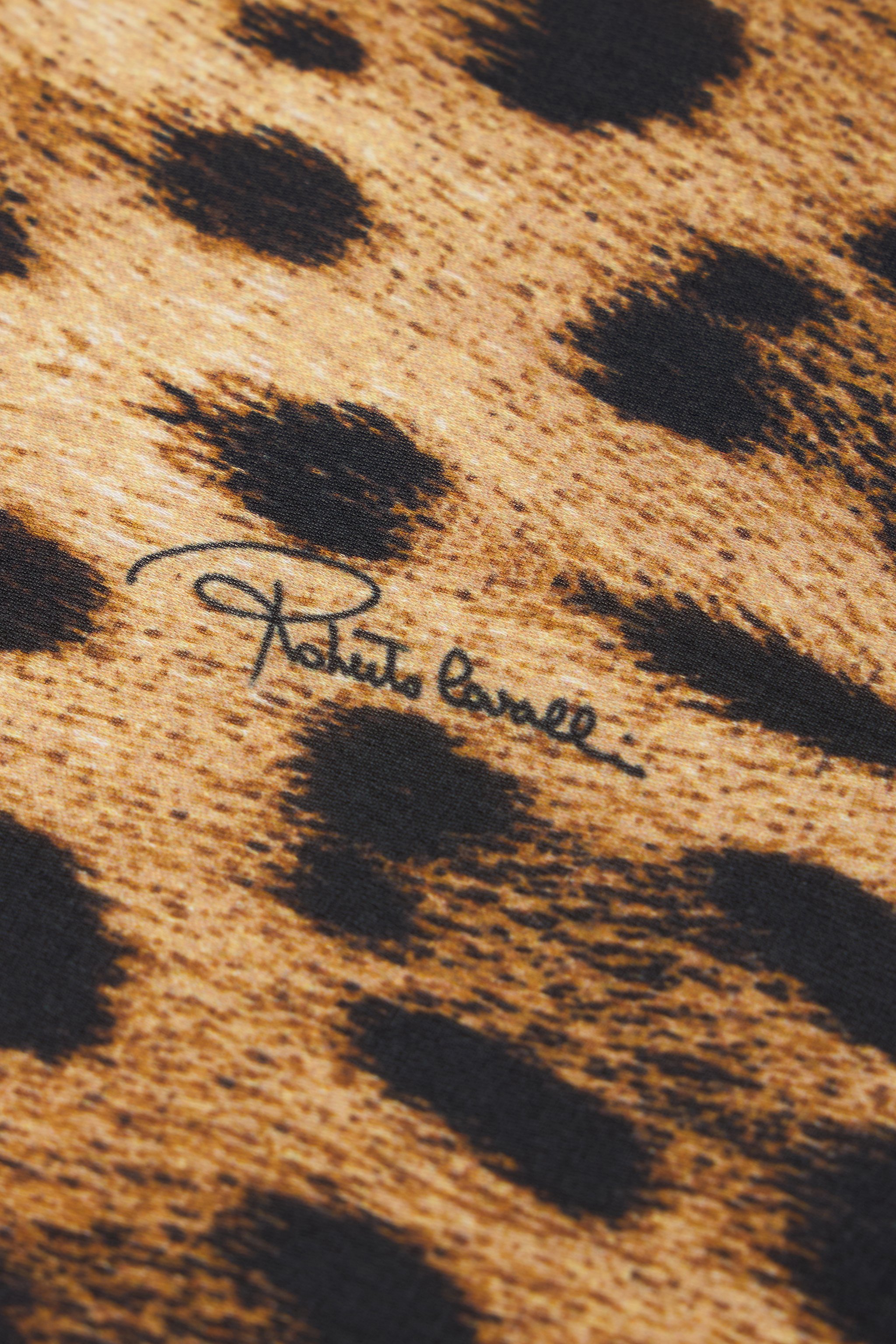 Roberto Cavalli Leopard Printed Silk Chiffon Scarf In Brown