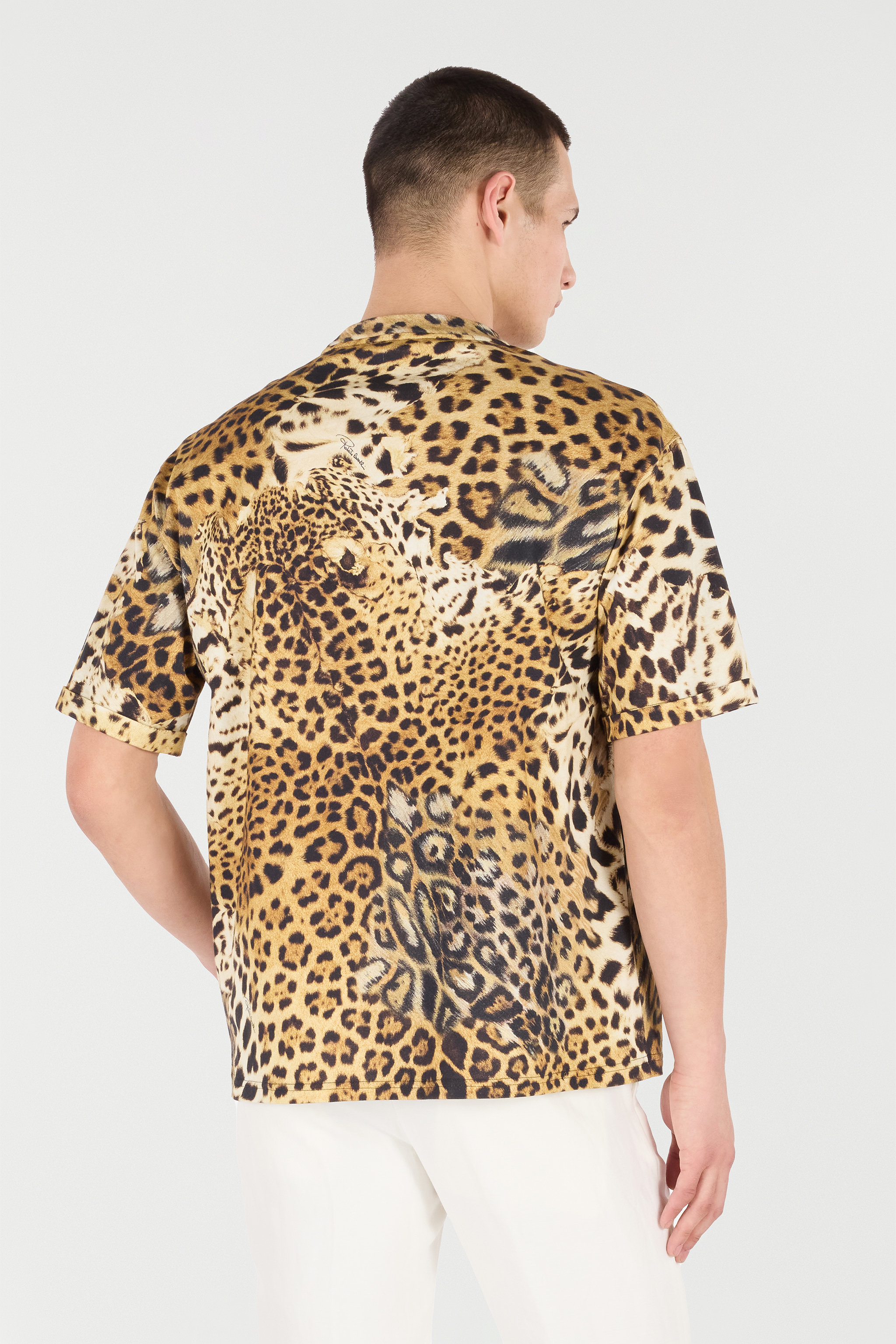 Roberto Cavalli Animal-print Cotton T-shirt In Brown