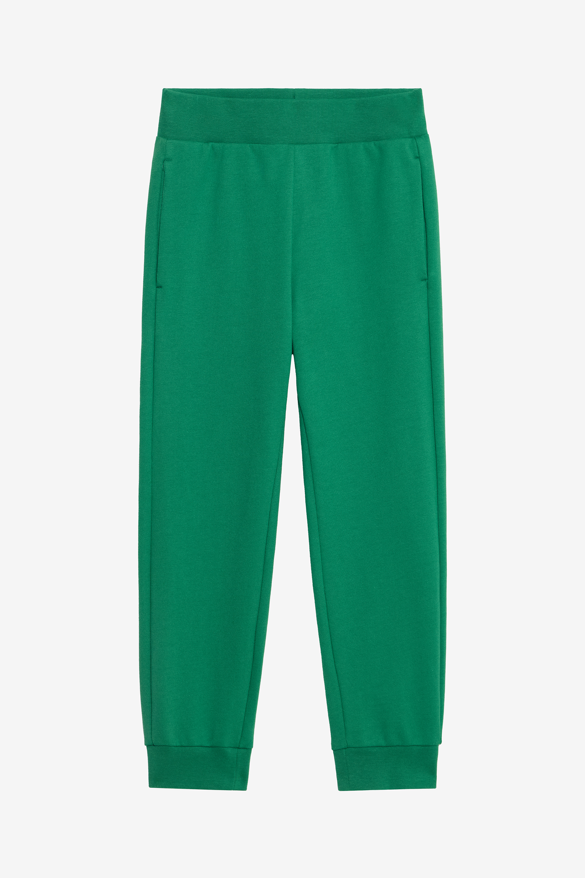 Roberto Cavalli Emerald Essence Joggers - Male - Sweatpants - Green - 10 Y | 140 Cm - Kids - Image 2