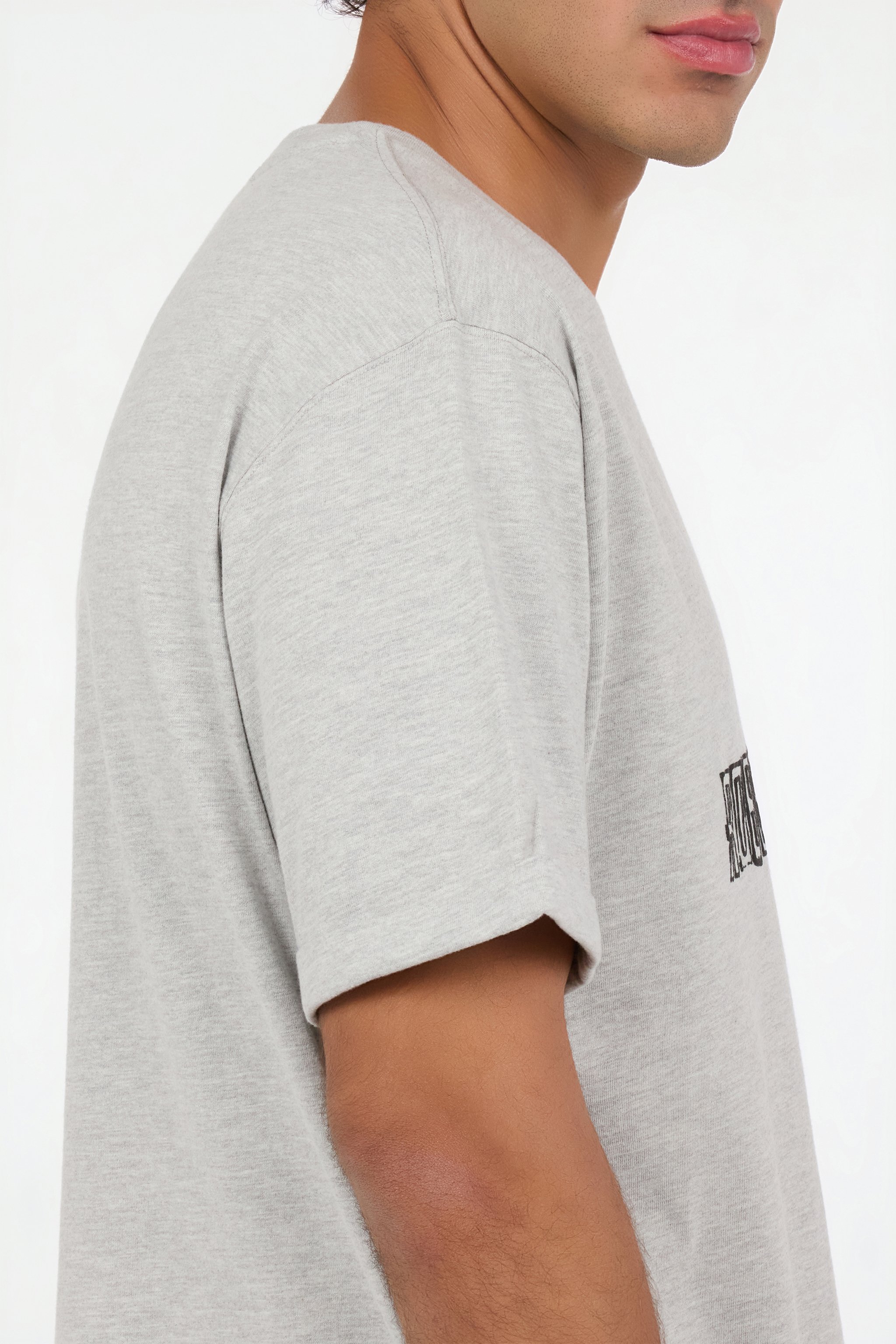 Grey Mélange T-Shirt with Snake and Logo