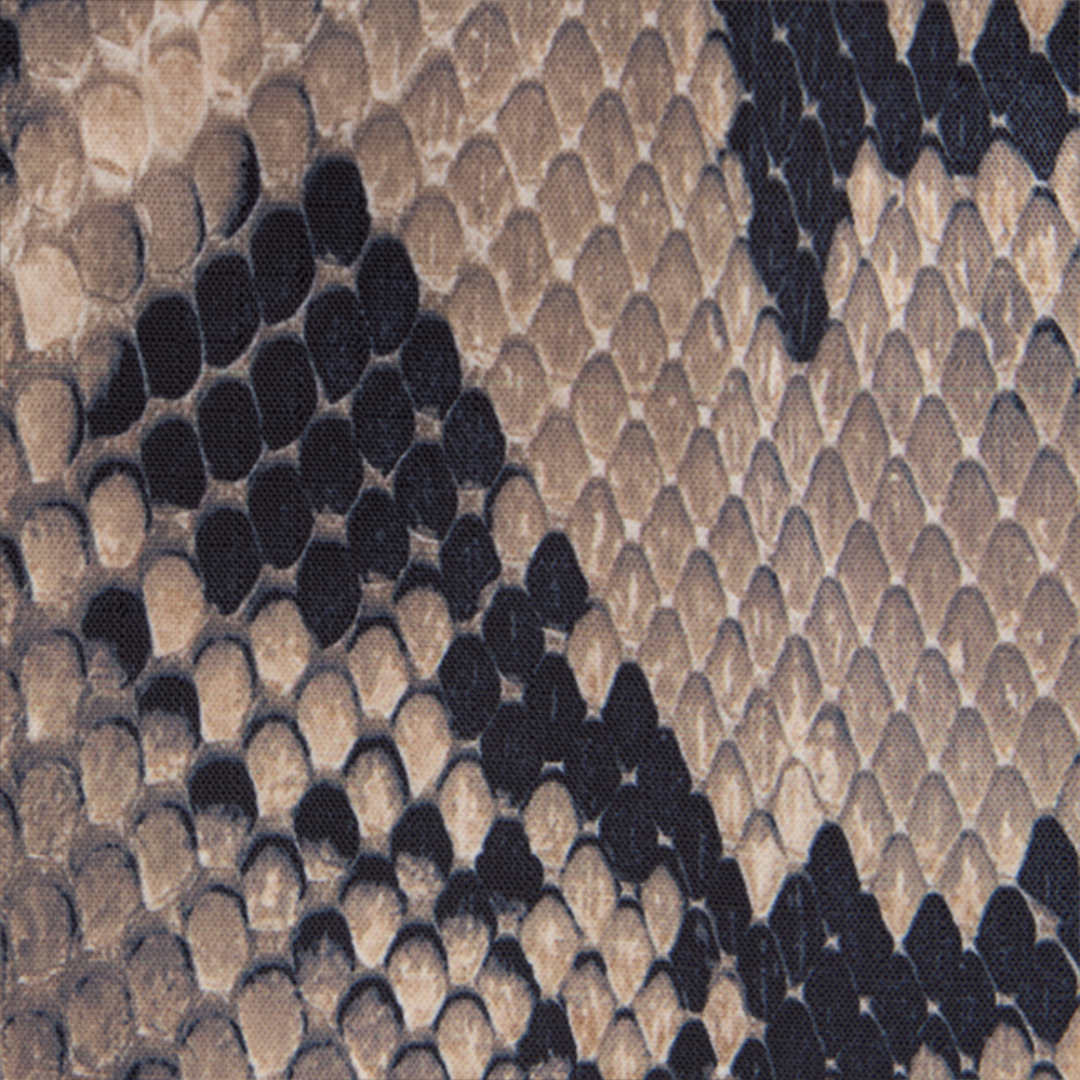 Roberto Cavalli Napoli Python Backpack In Brown