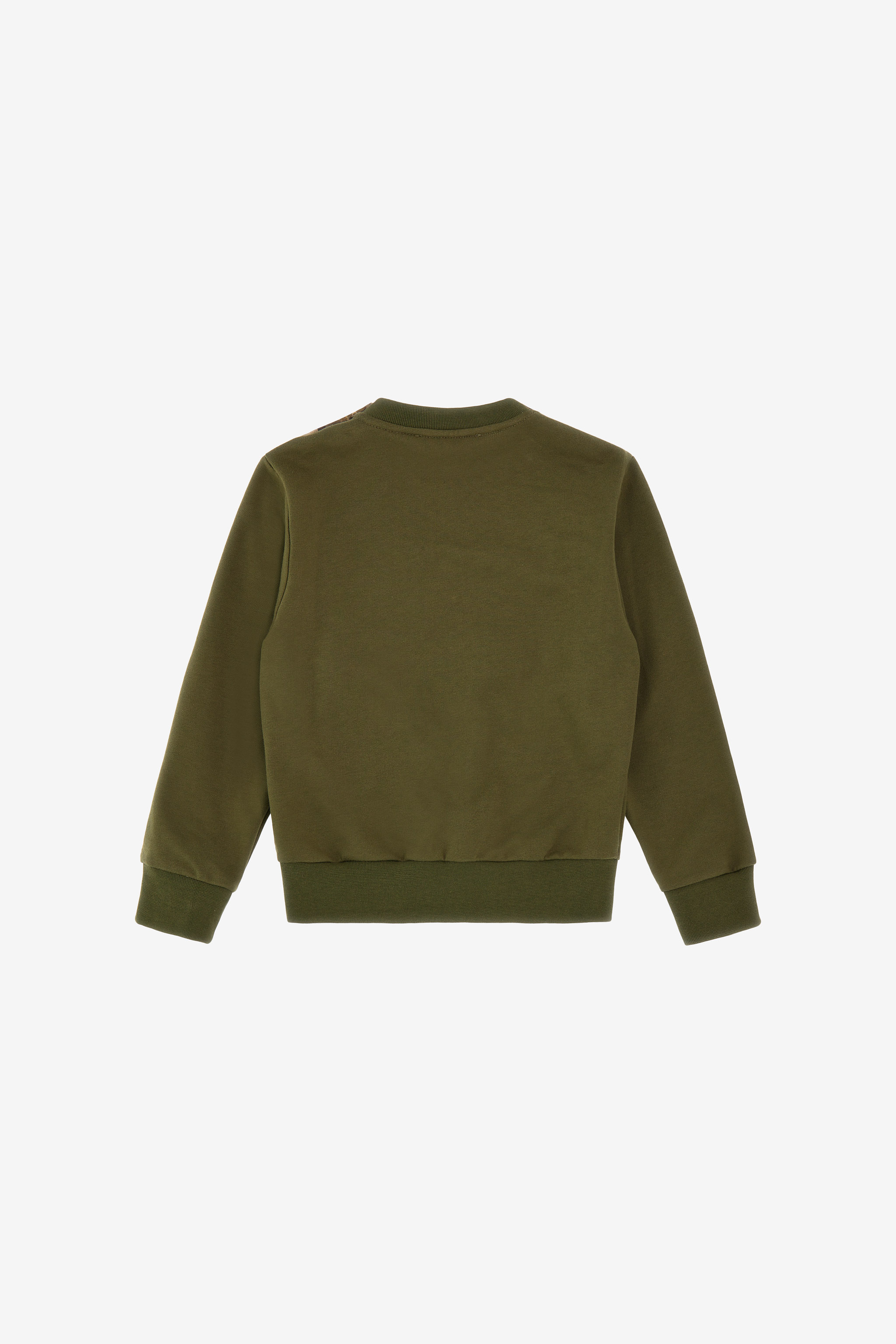 Roberto Cavalli Logo Sweatshirt In Green
