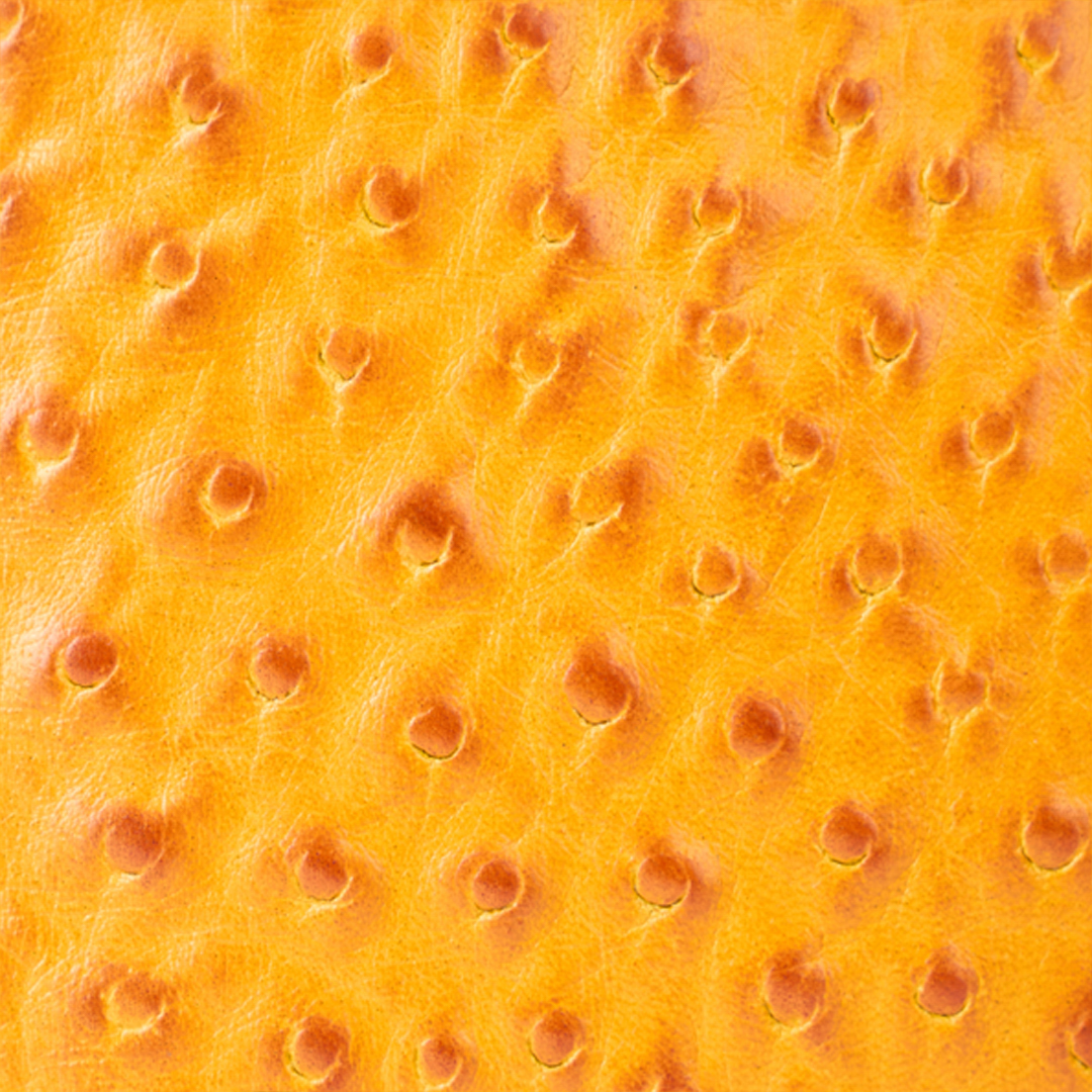 Roberto Cavalli Ochre Clutch In Ostrich-effect Leather In Brown