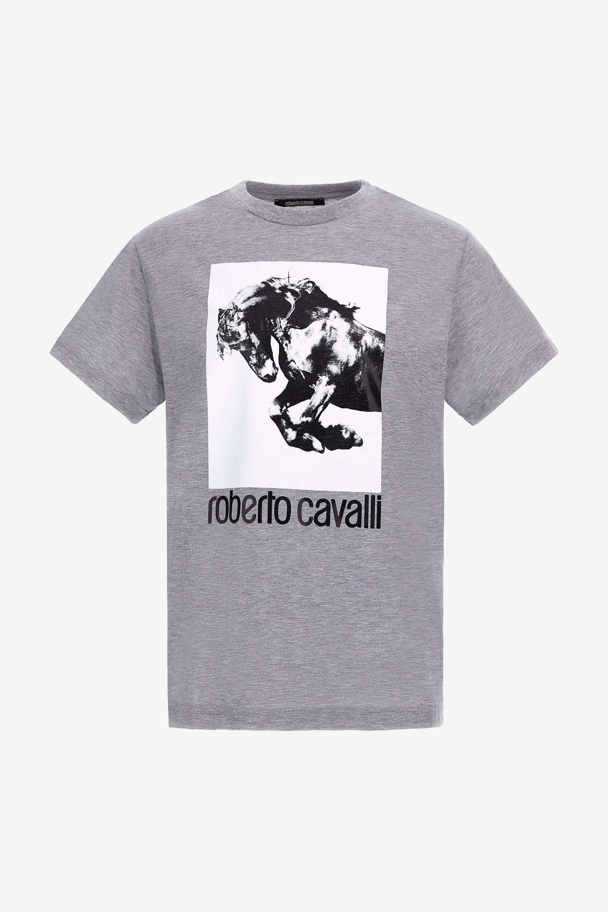 Shop Roberto Cavalli T-shirt With Horse Logo And Print In Gray