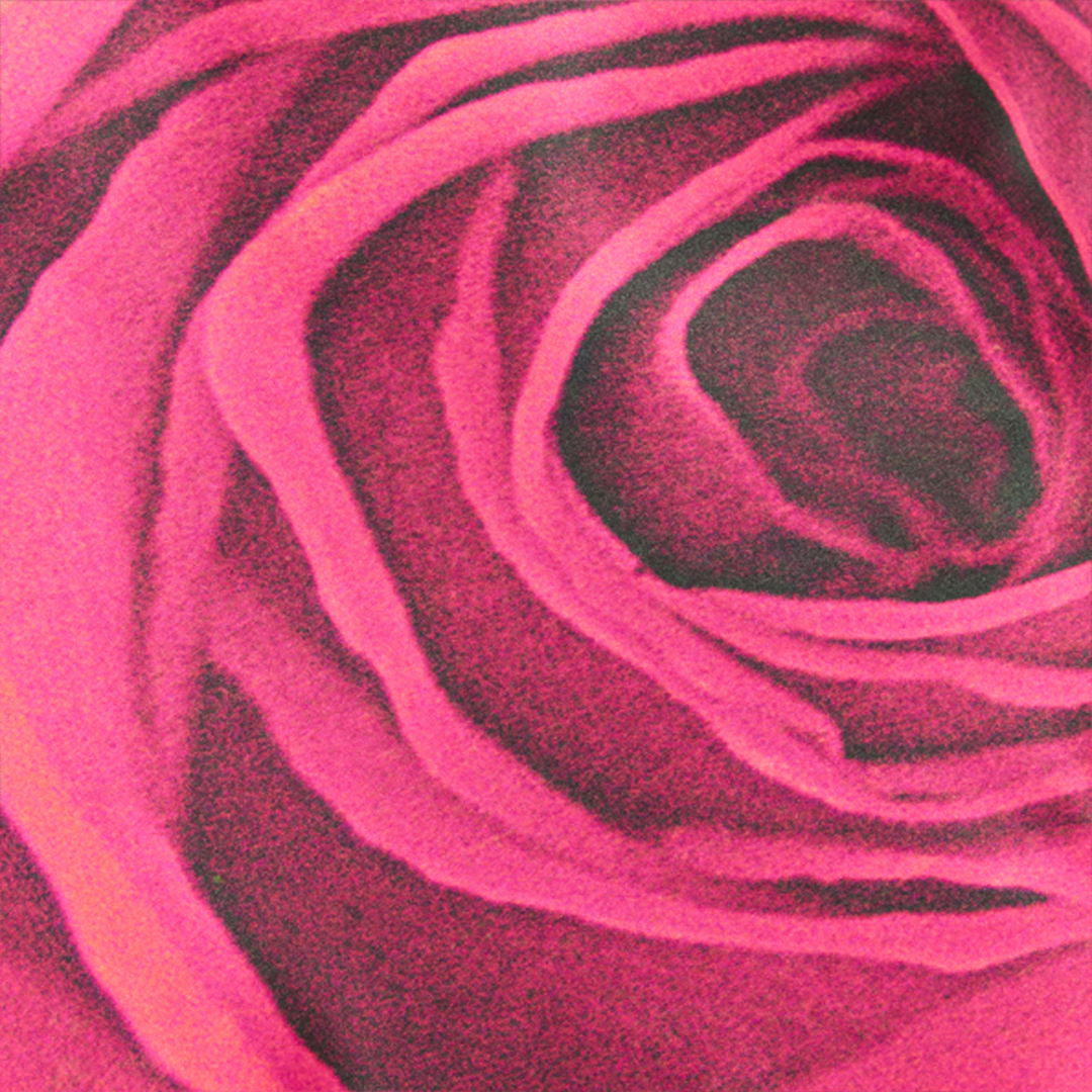 Roberto Cavalli Dress With Rose Print And Flounces In Rosa/rosso