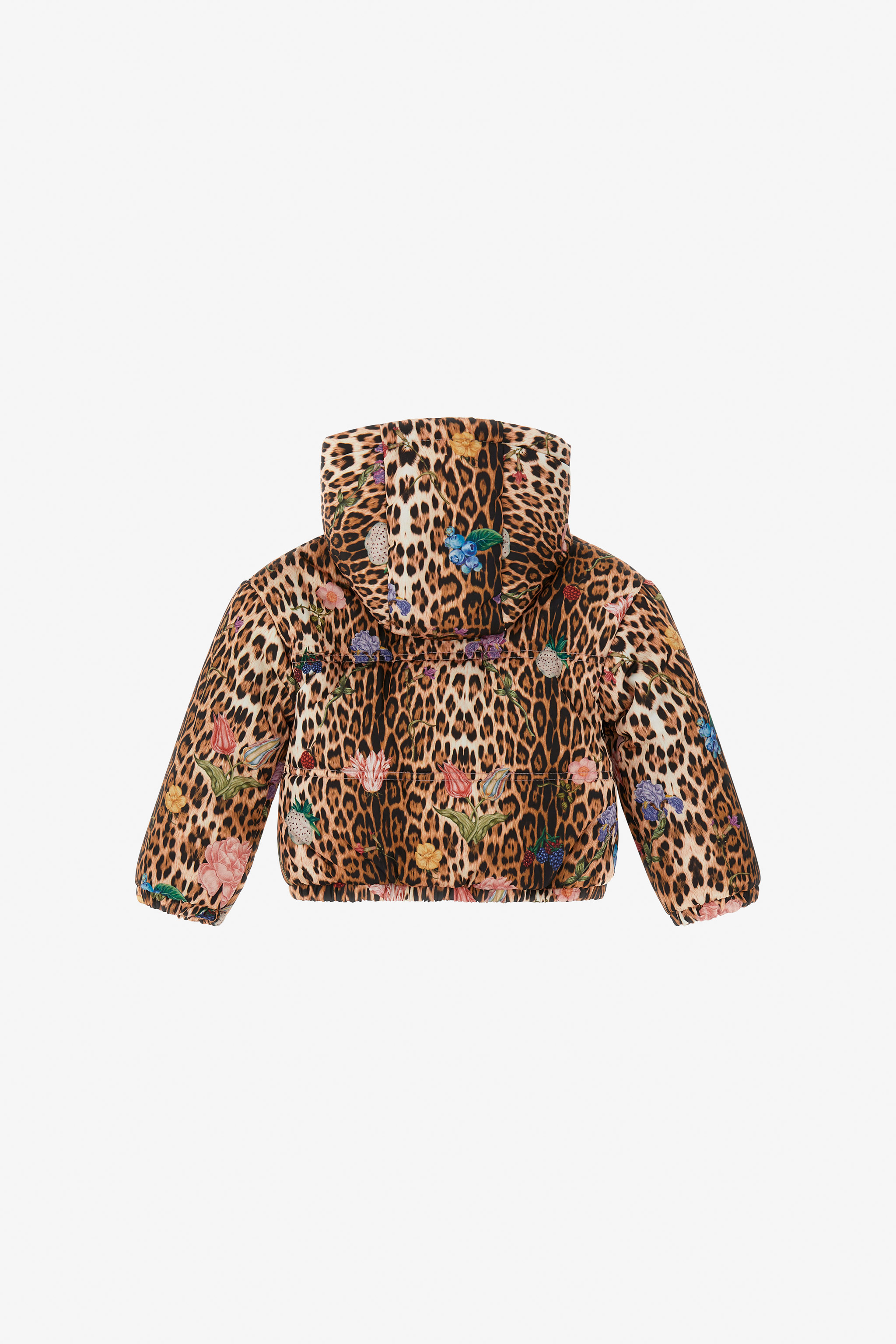 Roberto Cavalli Leopard-print Jacket In Light Brown
