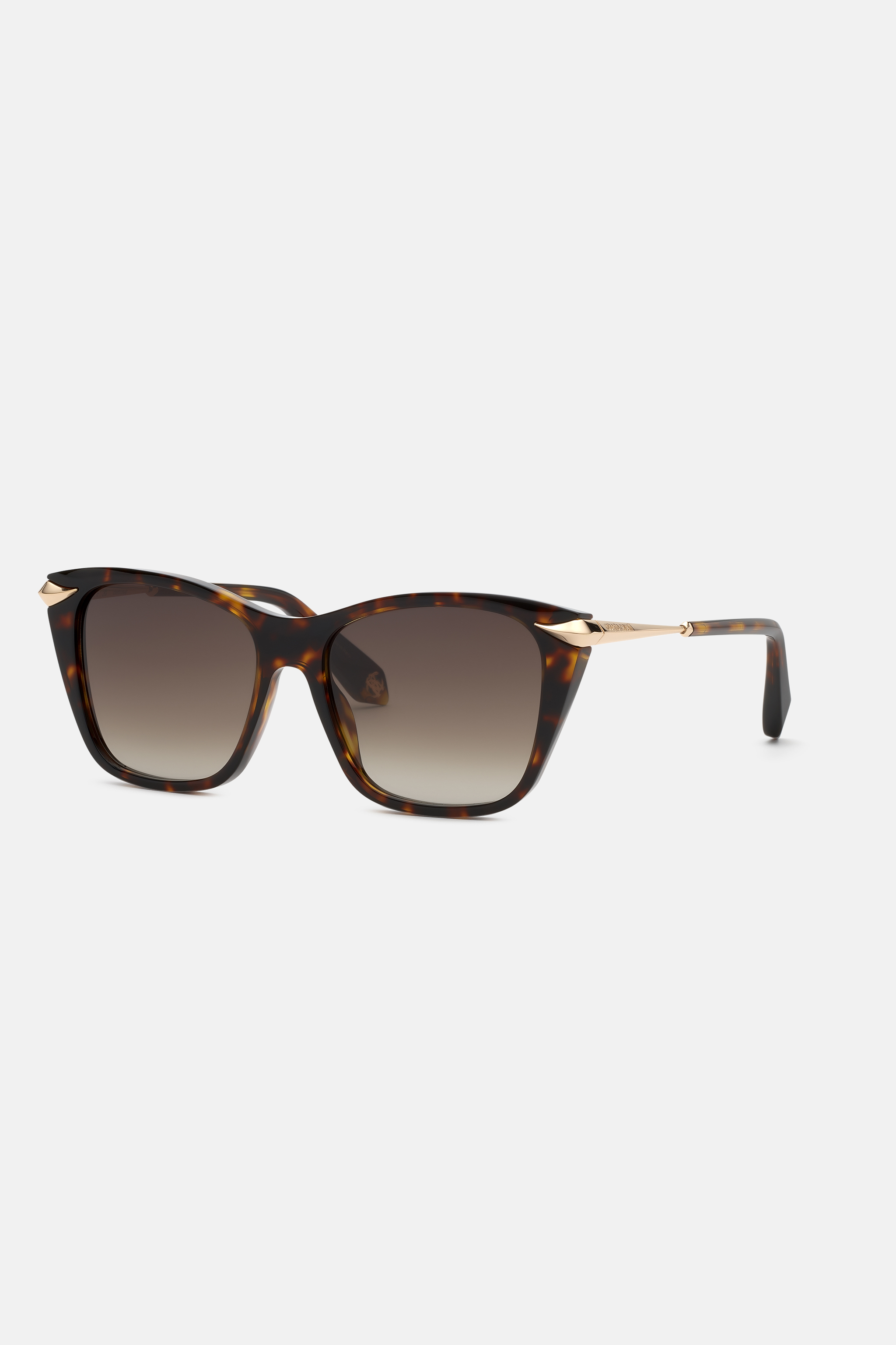 Roberto Cavalli Sunglasses With Acetate Front Combined With Metal Temples In Brown