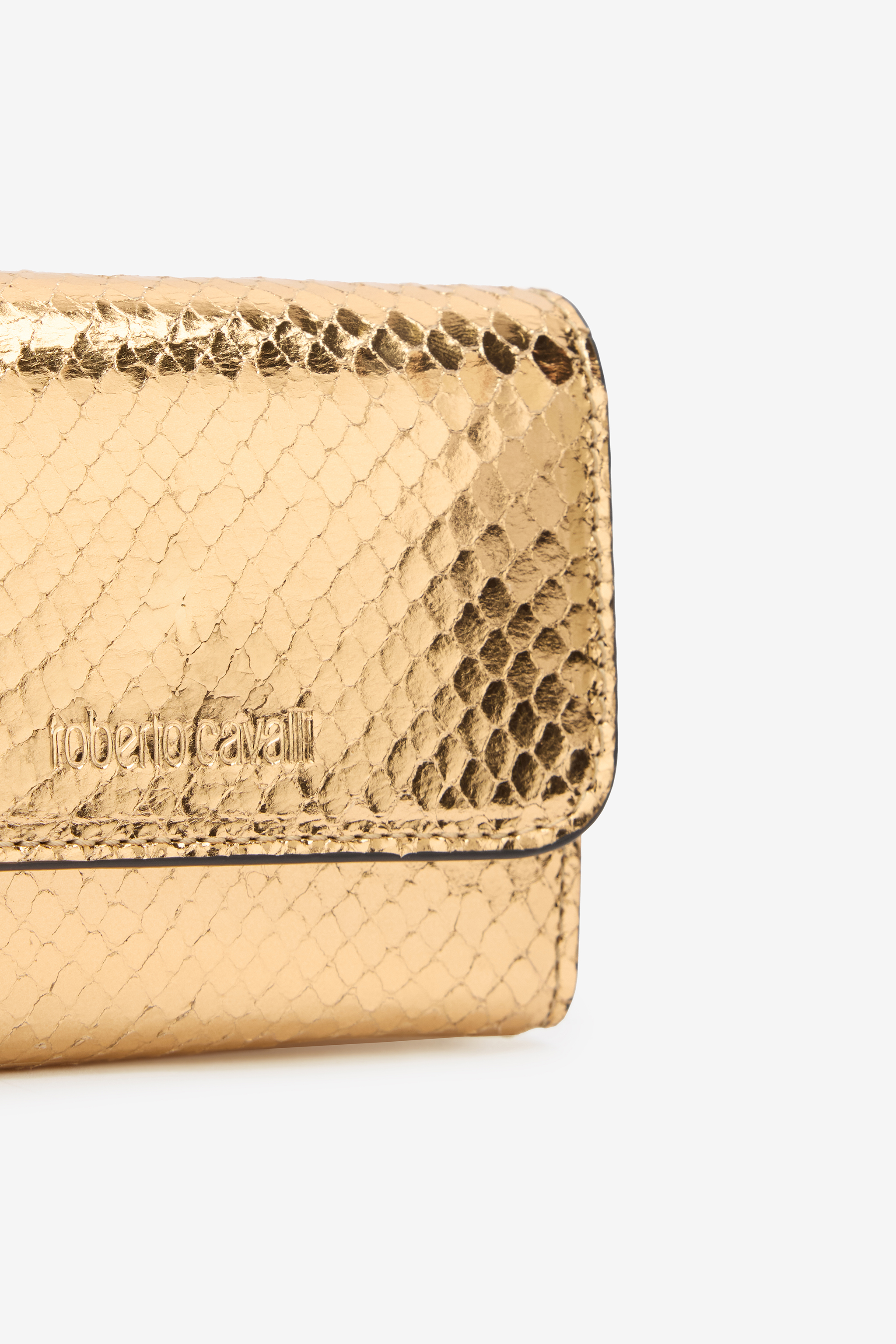 ROBERTO CAVALLI LAMINIERTES KARTENETUI MIT SCHLANGEN-PRINT