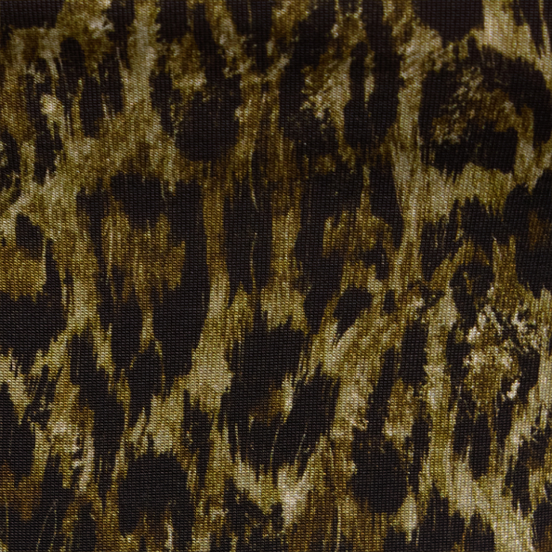 Roberto Cavalli Leopard Skin Print Top With Cut-out In Green