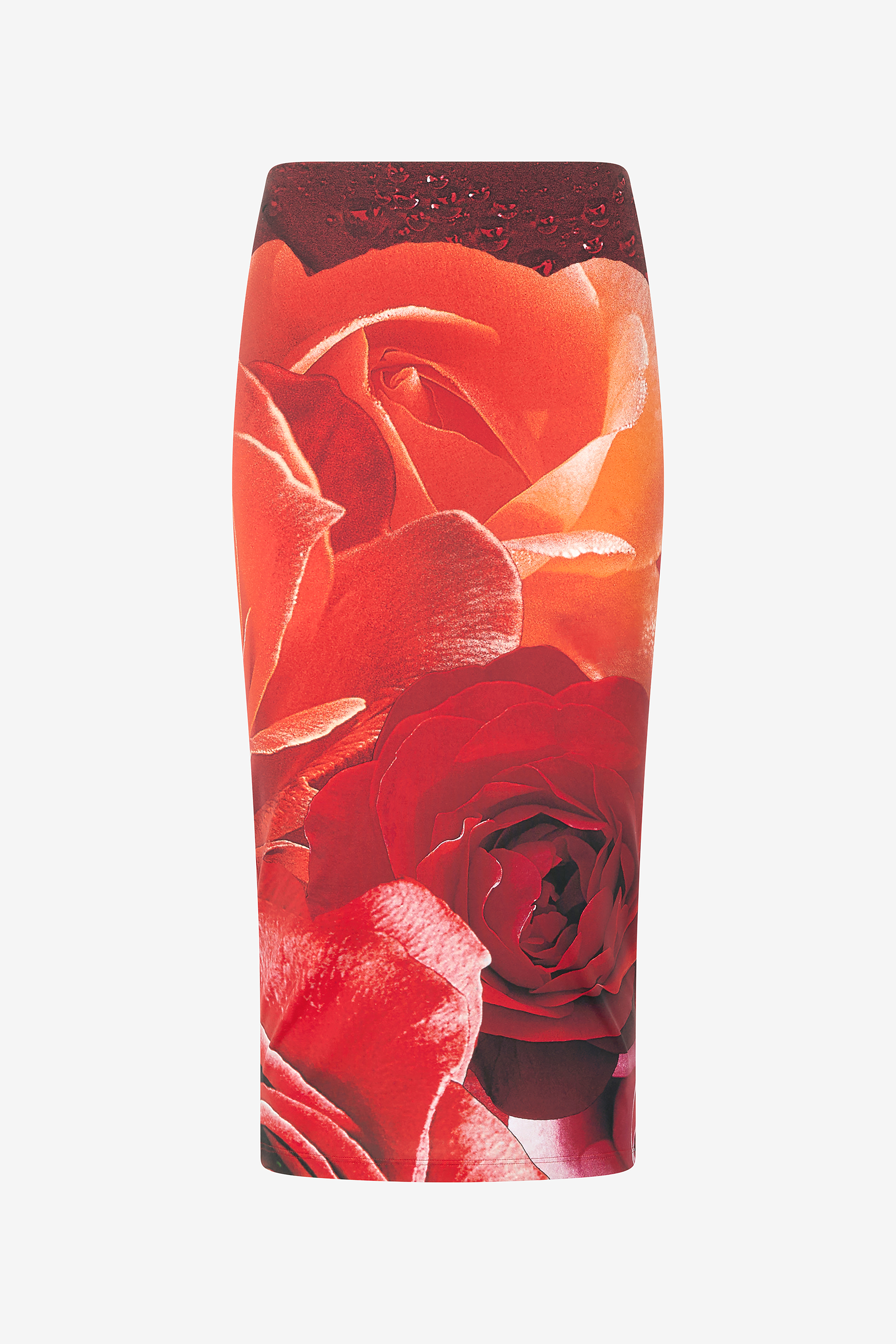 Roberto Cavalli Pencil Skirt With Rose Print In Rosso