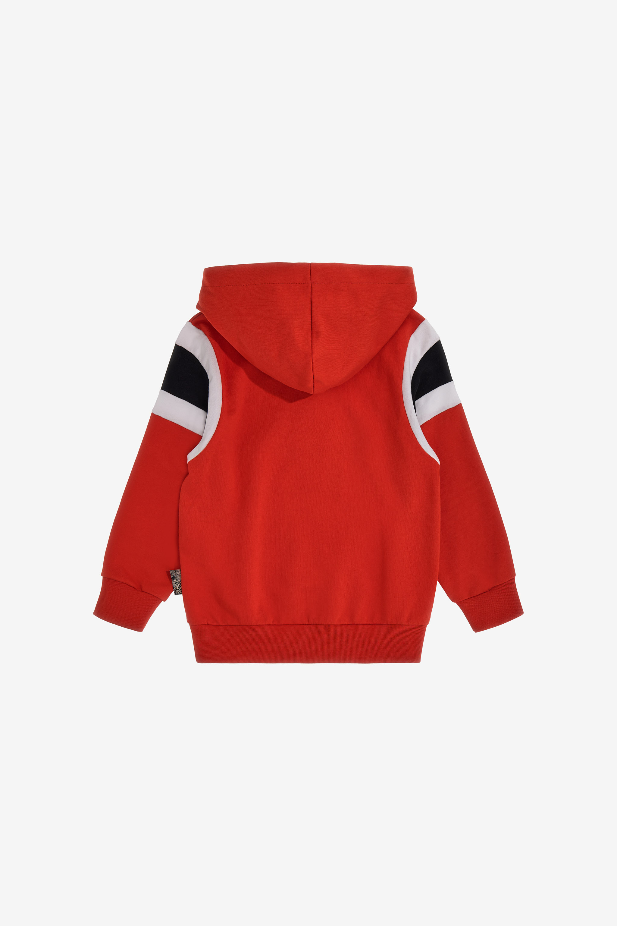Roberto Cavalli Printed Sweatshirt In Red