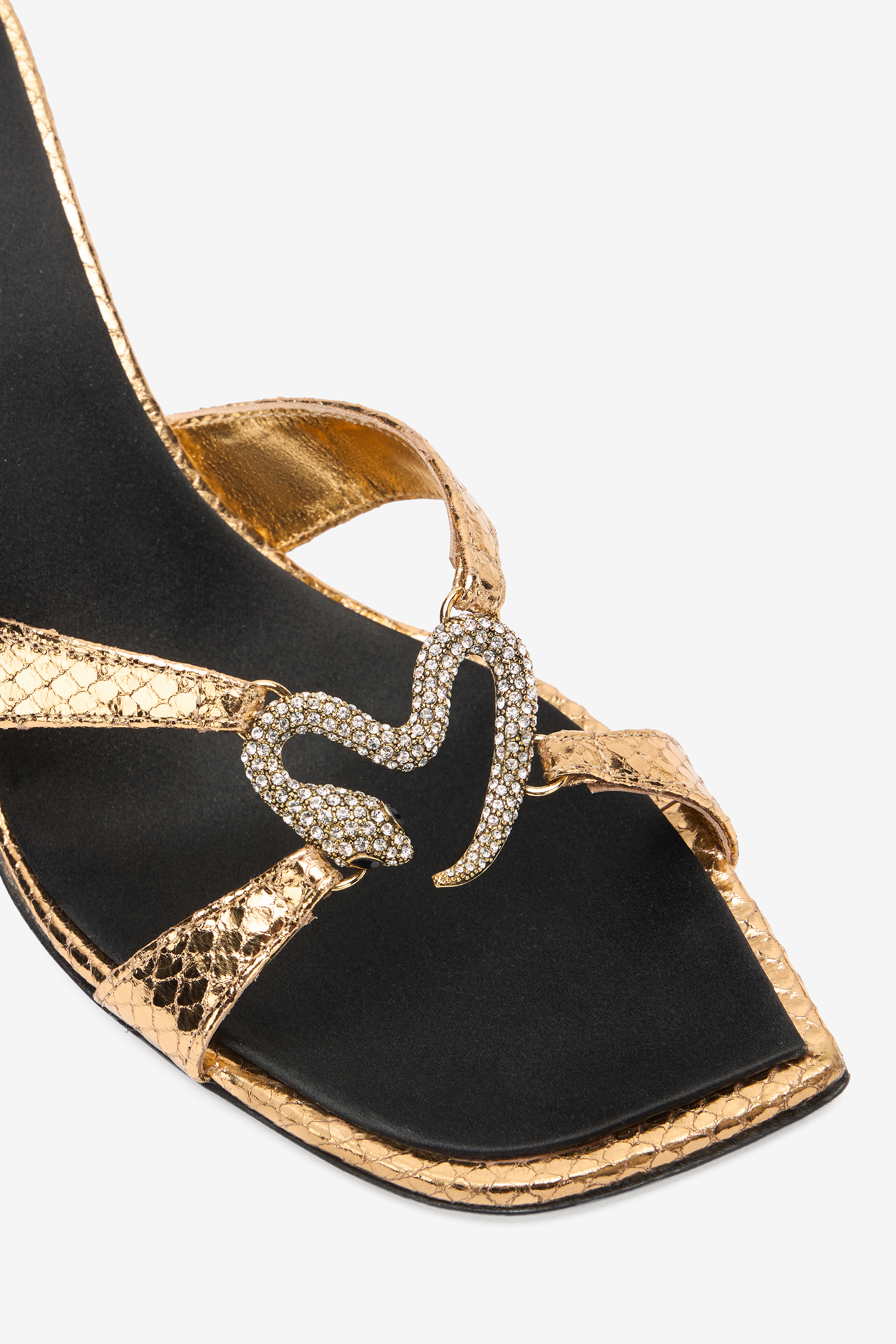 Roberto Cavalli Sandals With Snake Print And Snake Jewel In Gold