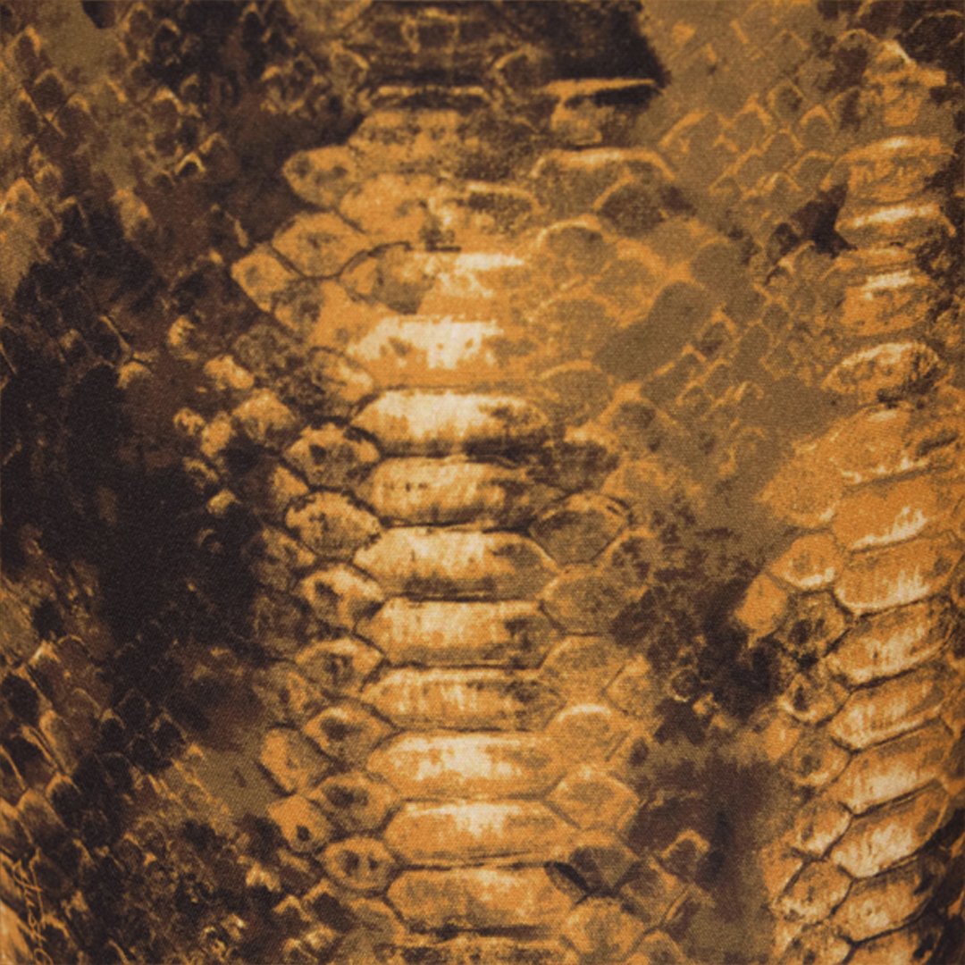 Roberto Cavalli Cobra Print Trousers In Brown