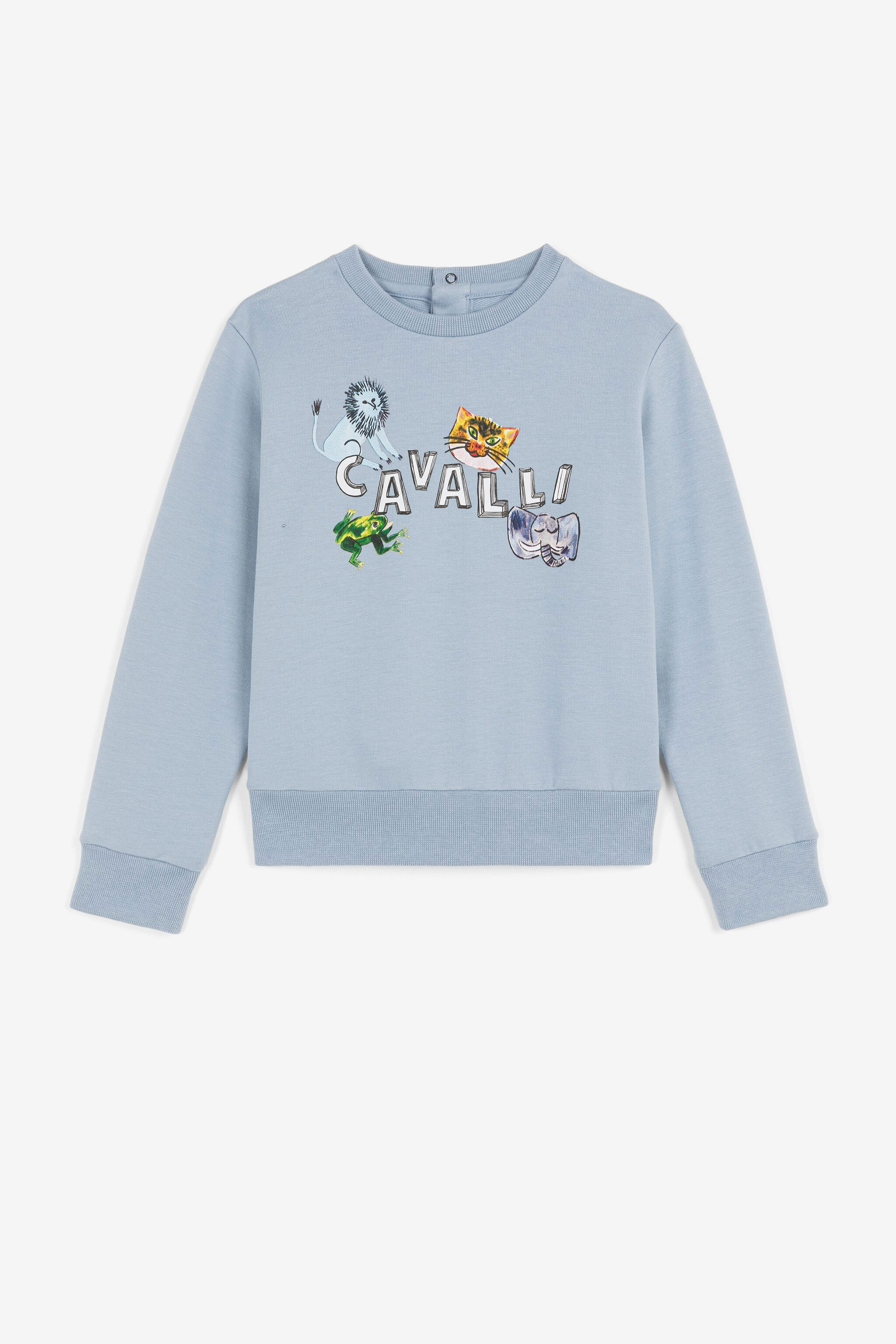 Cavalli sweatshirt outlet