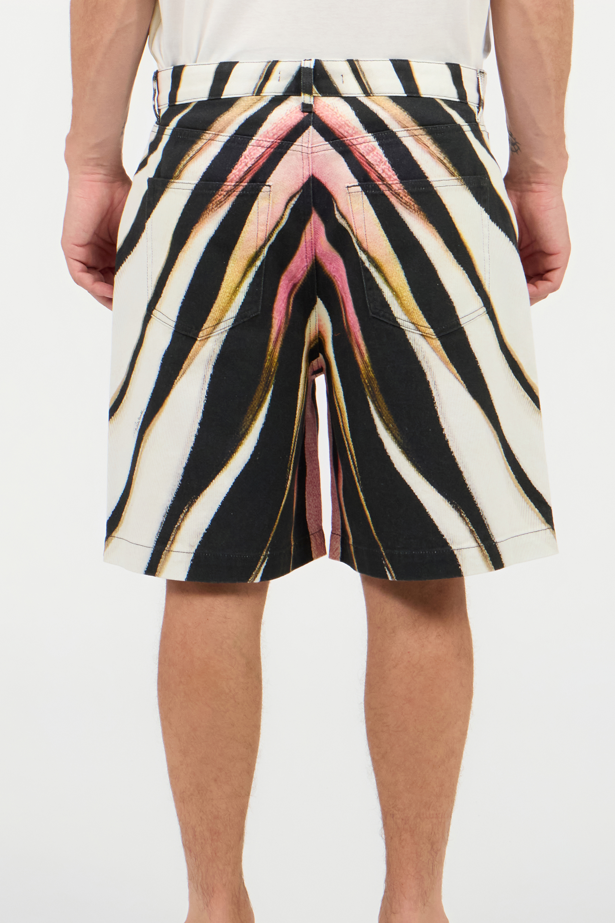 Roberto Cavalli Ray Of Pink Print Bermuda Shorts In Black