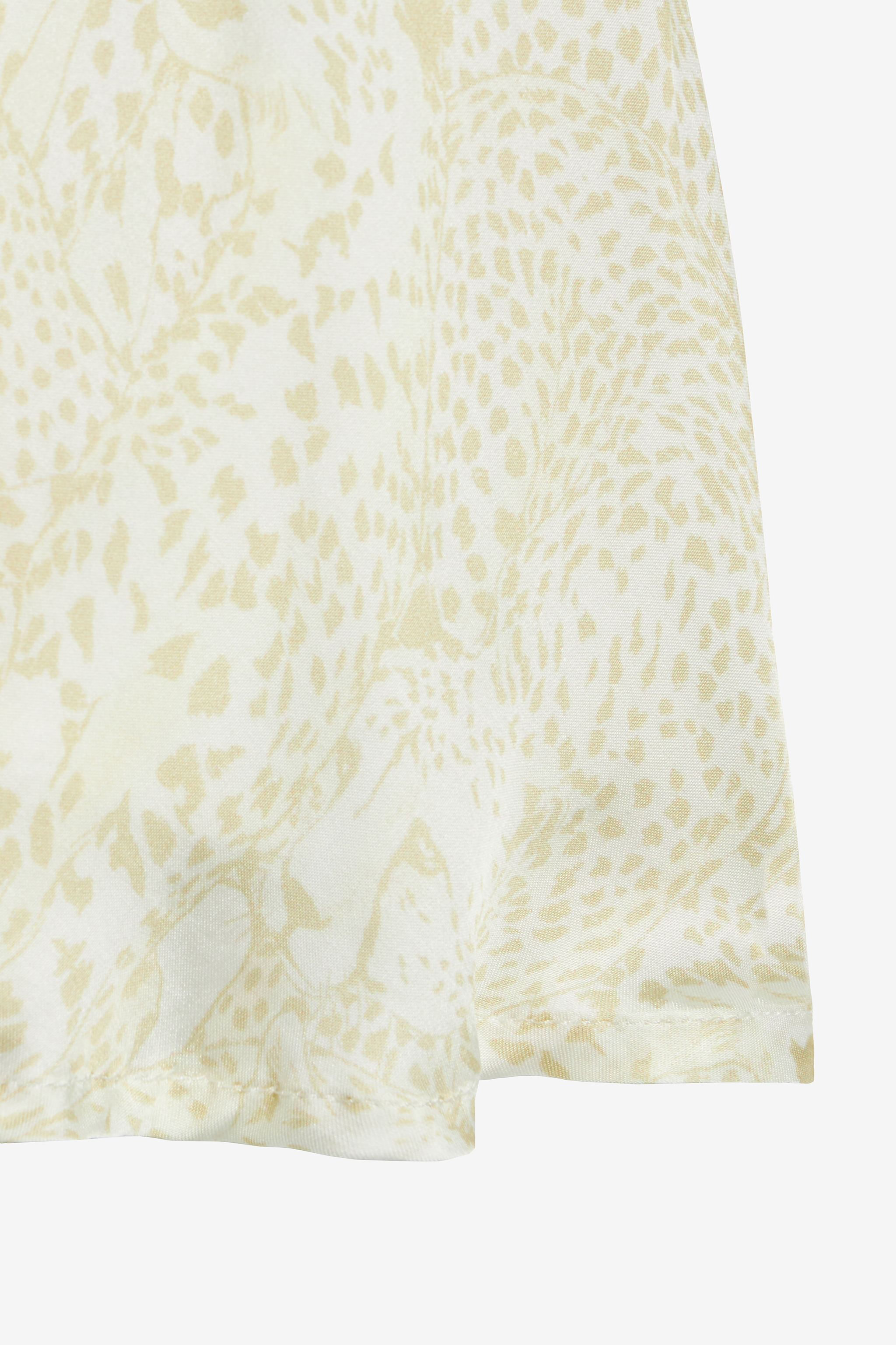 Dress With Cheetahs And Cheetah Skin