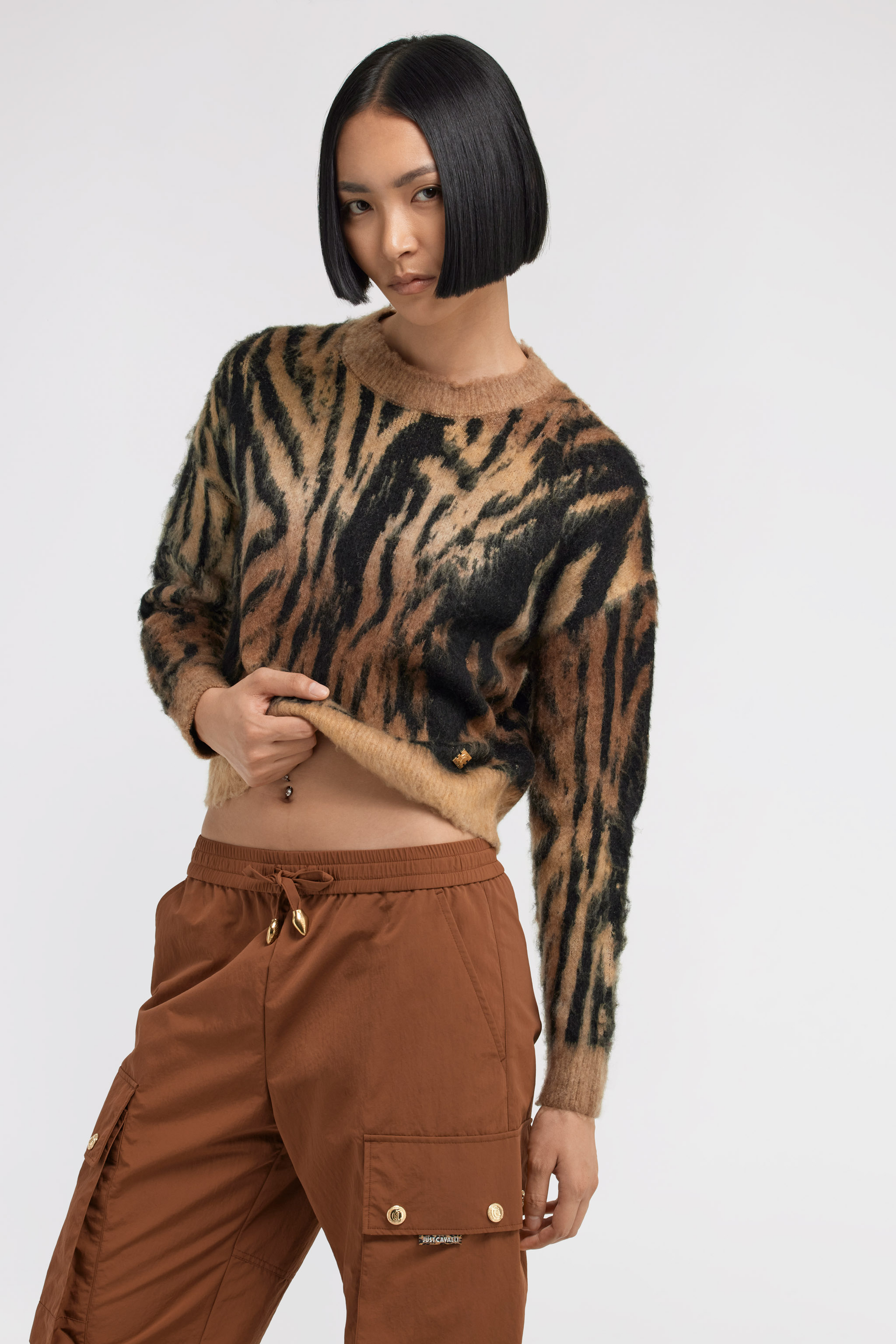 Roberto Cavalli Just Cavalli Crew Neck Sweater In Light Brown