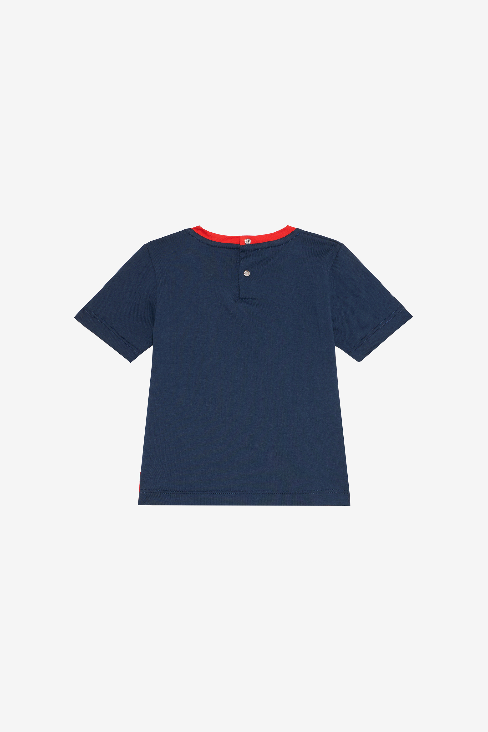 Roberto Cavalli Blue T-shirt With Tiger Print In Blue