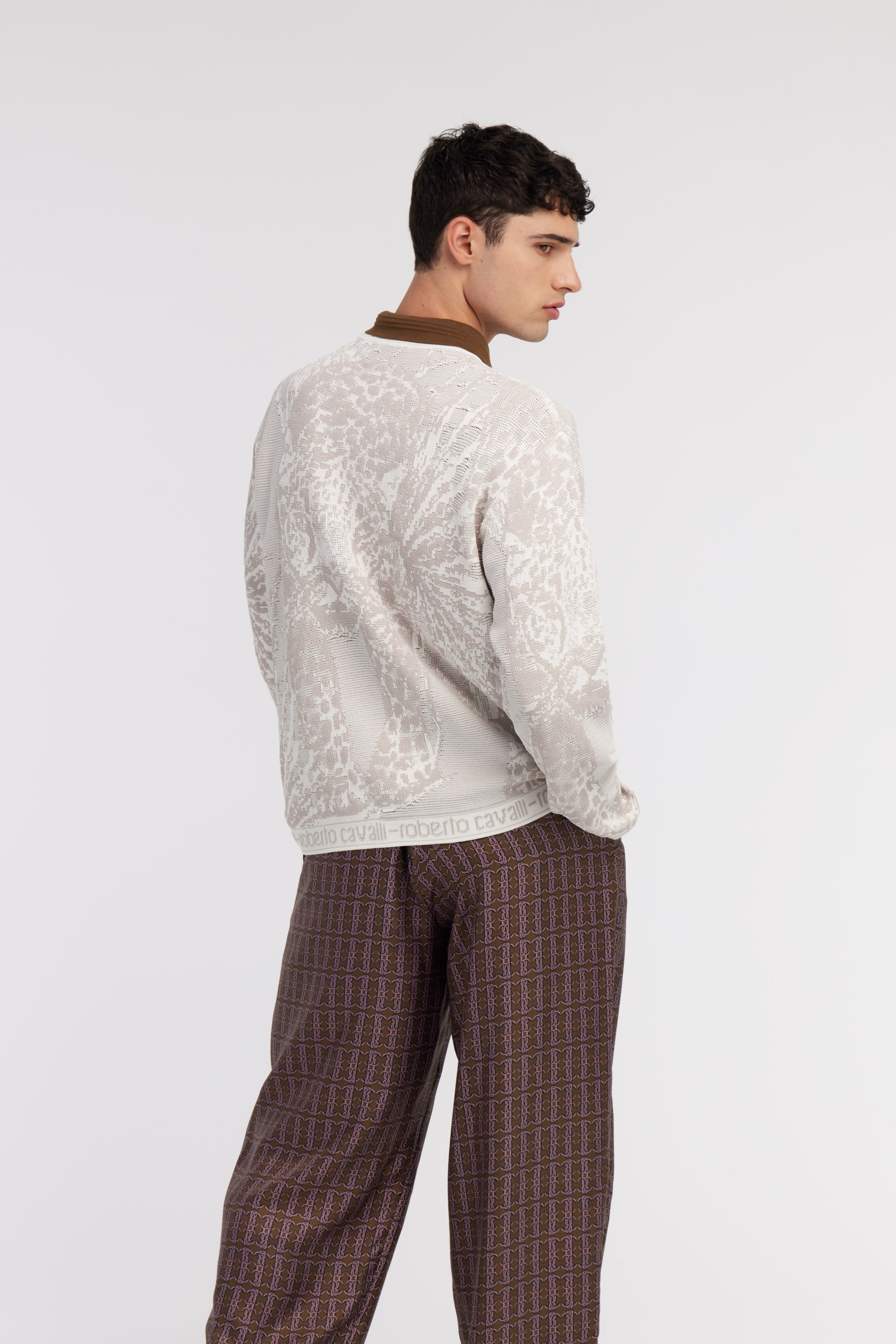 Roberto Cavalli Tiger Motif Sweater In Gray