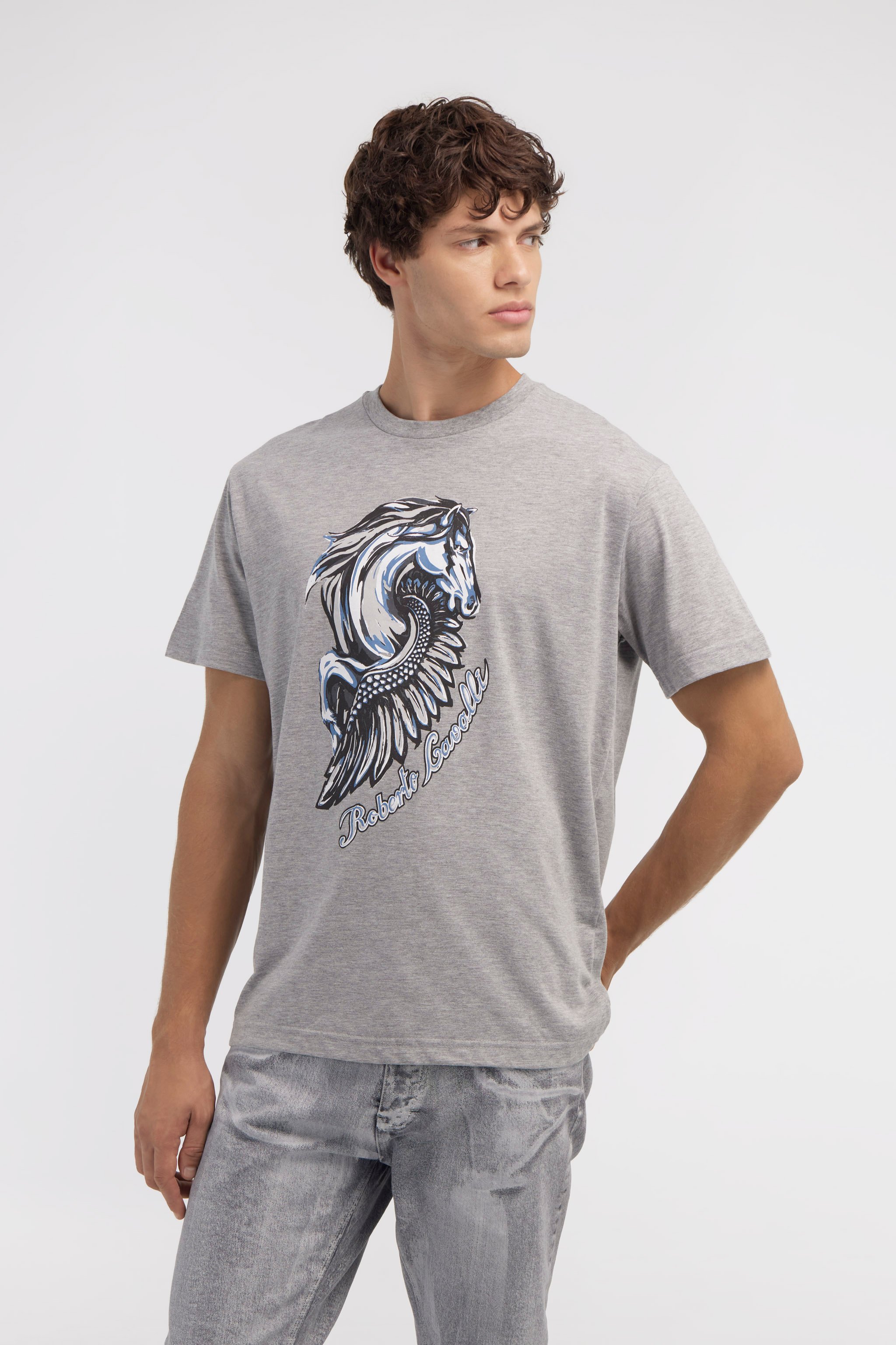 Shop Roberto Cavalli T-shirt With Horse Logo And Print In Gray