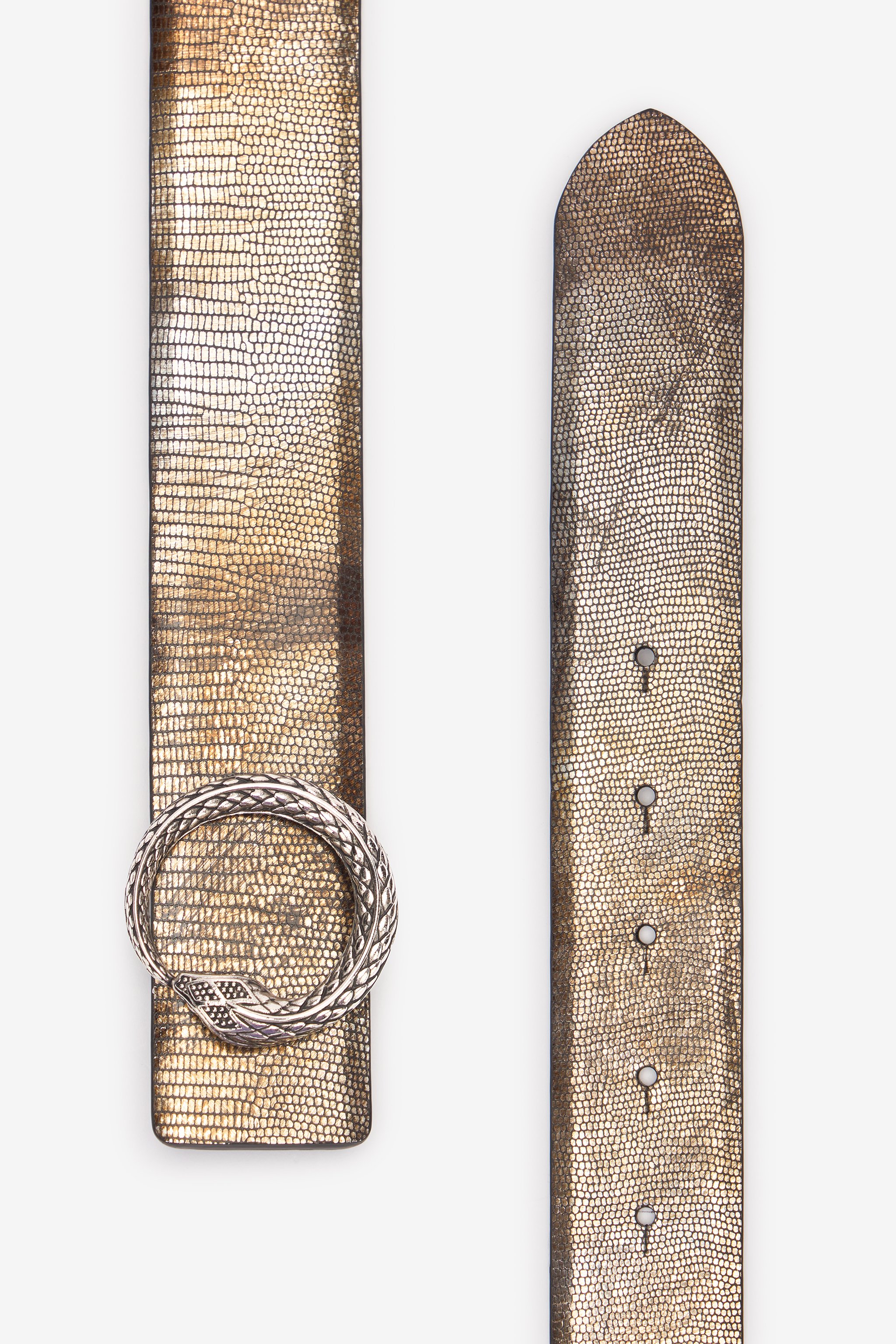 Metallic Belt With Snake Buckle