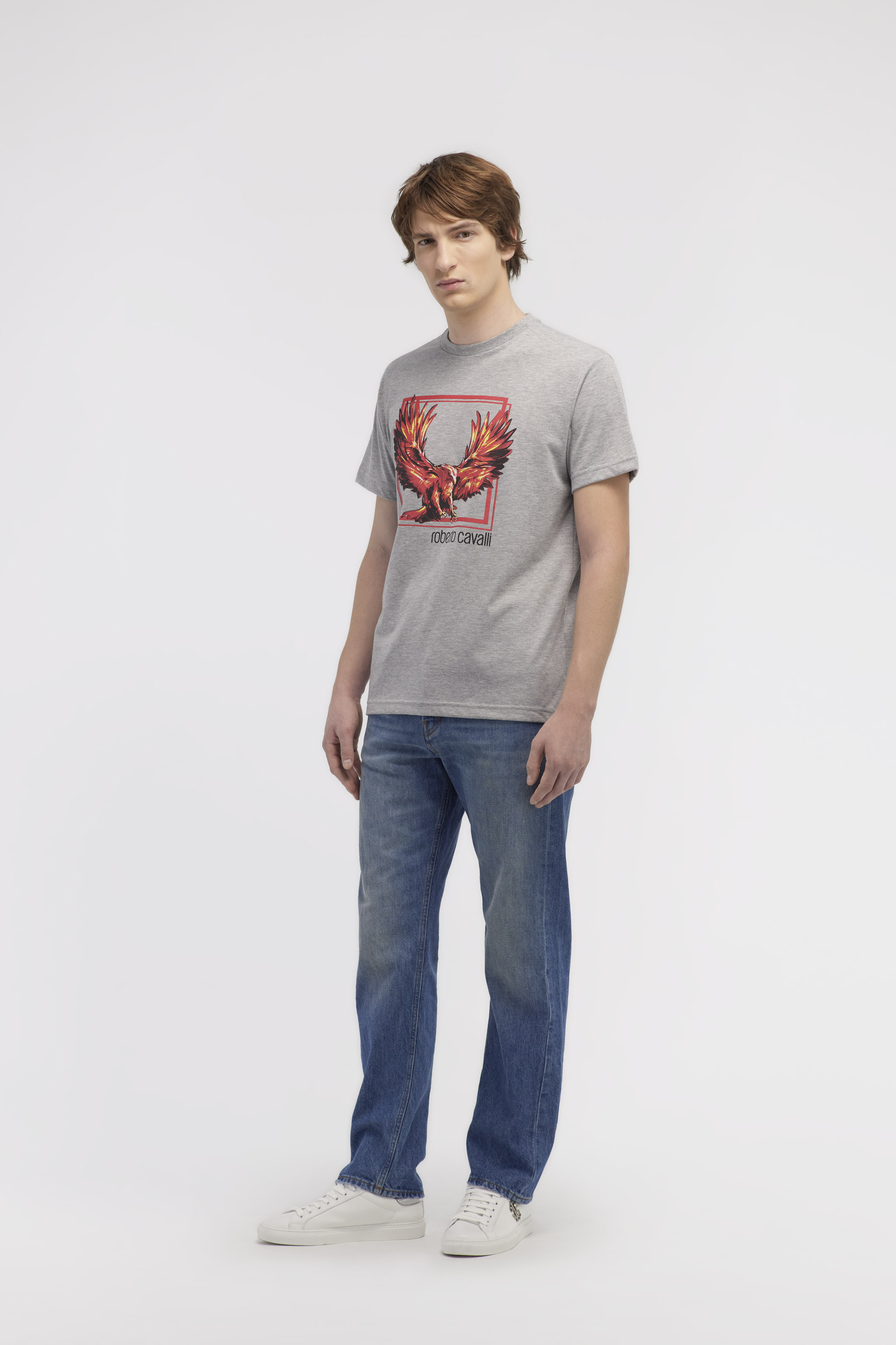 Shop Roberto Cavalli T-shirt With Eagle Logo And Print In Gray