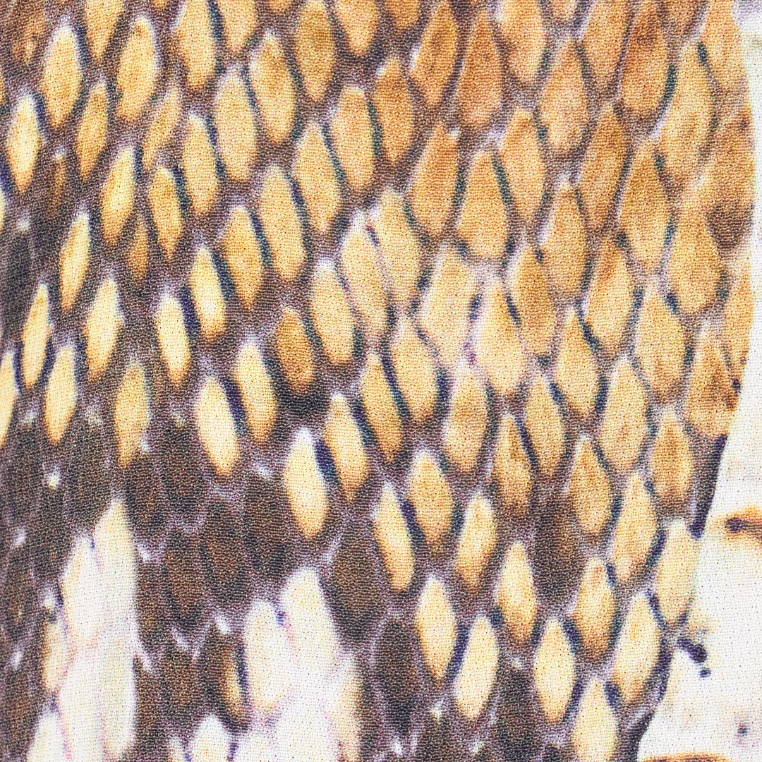 Roberto Cavalli Snakeskin-print T-shirt In Brown