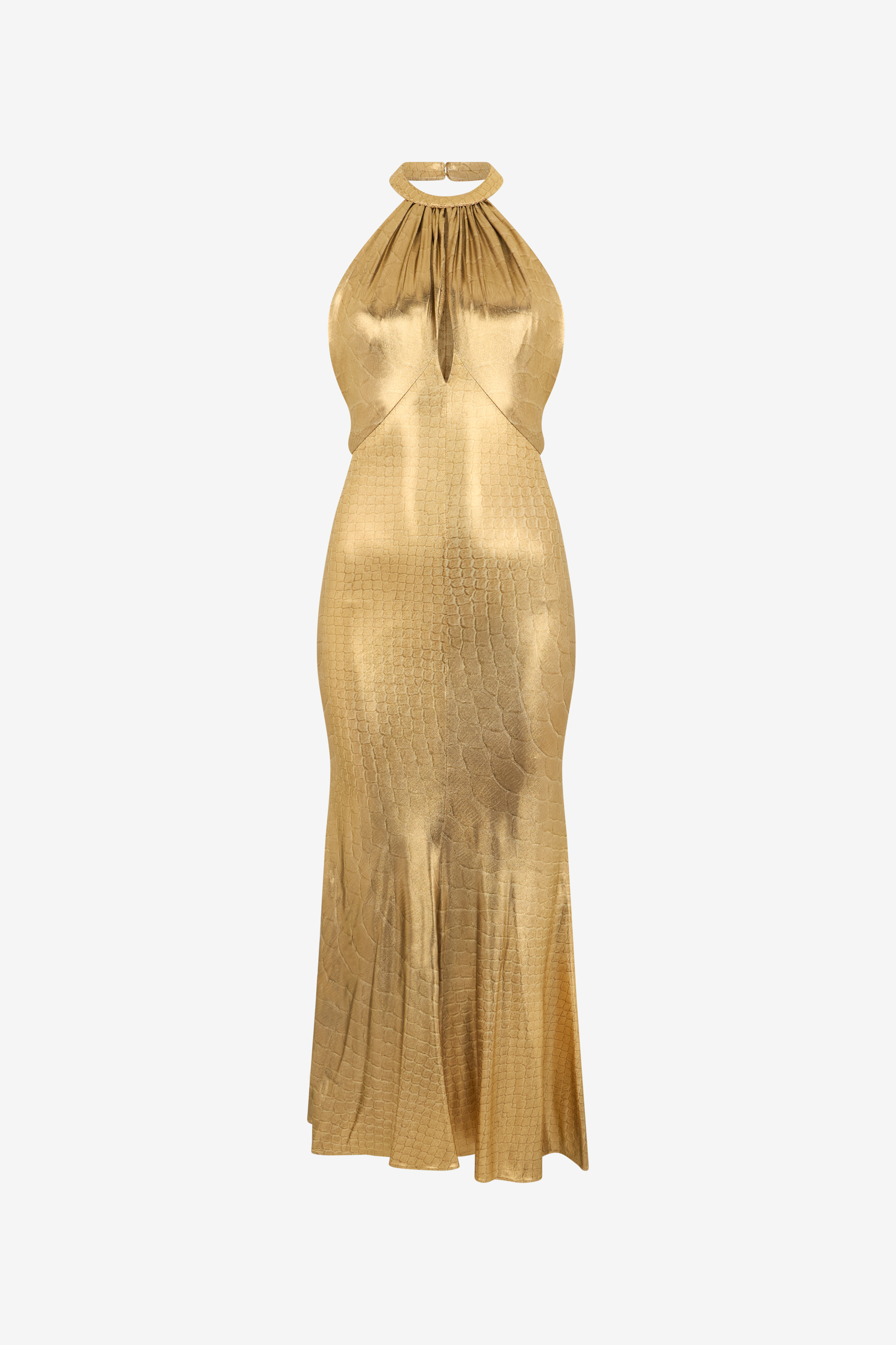 Roberto Cavalli Serpentine Print Maxi Dress