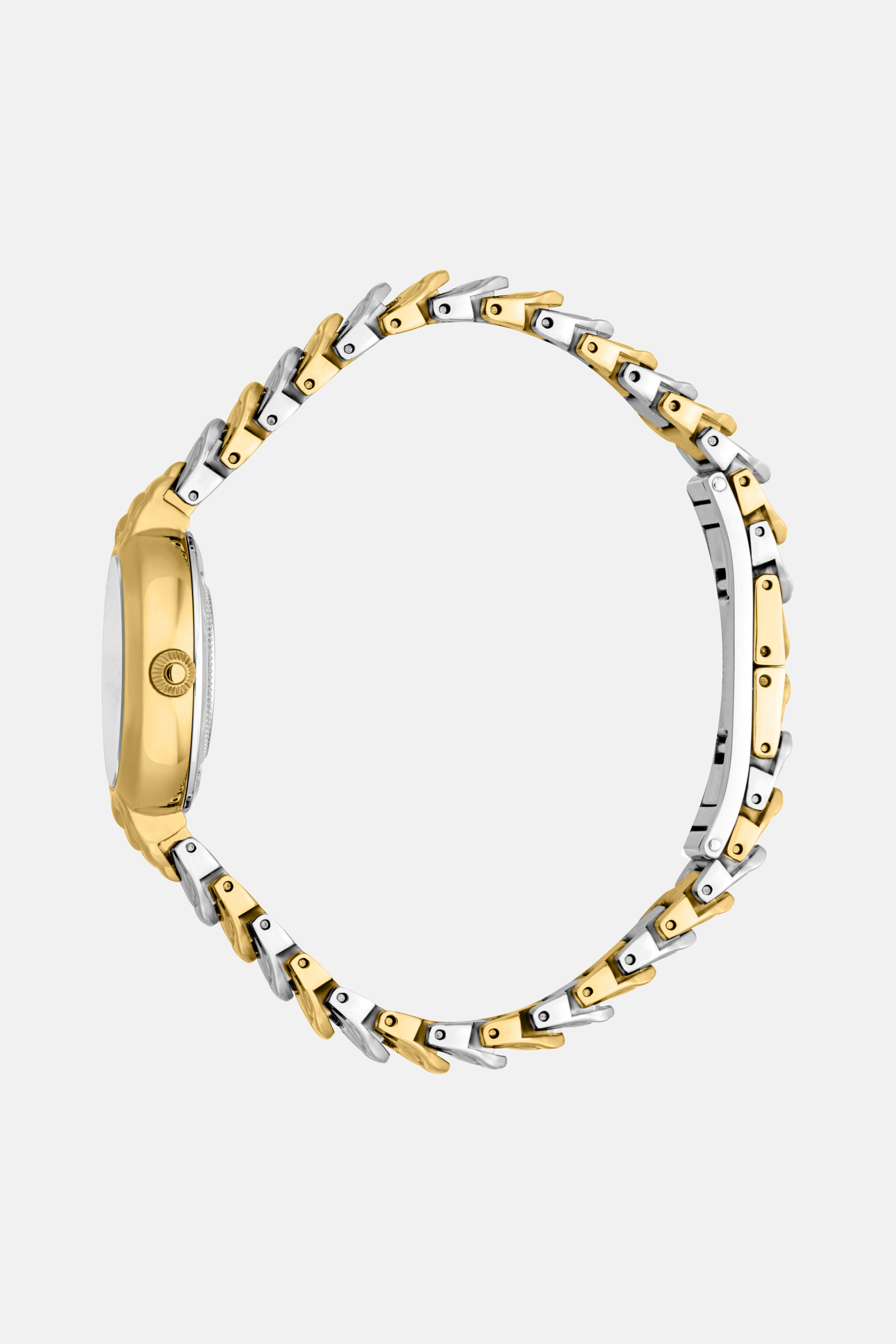 Roberto Cavalli By Frank Muller Logo Watch In Silver/gold