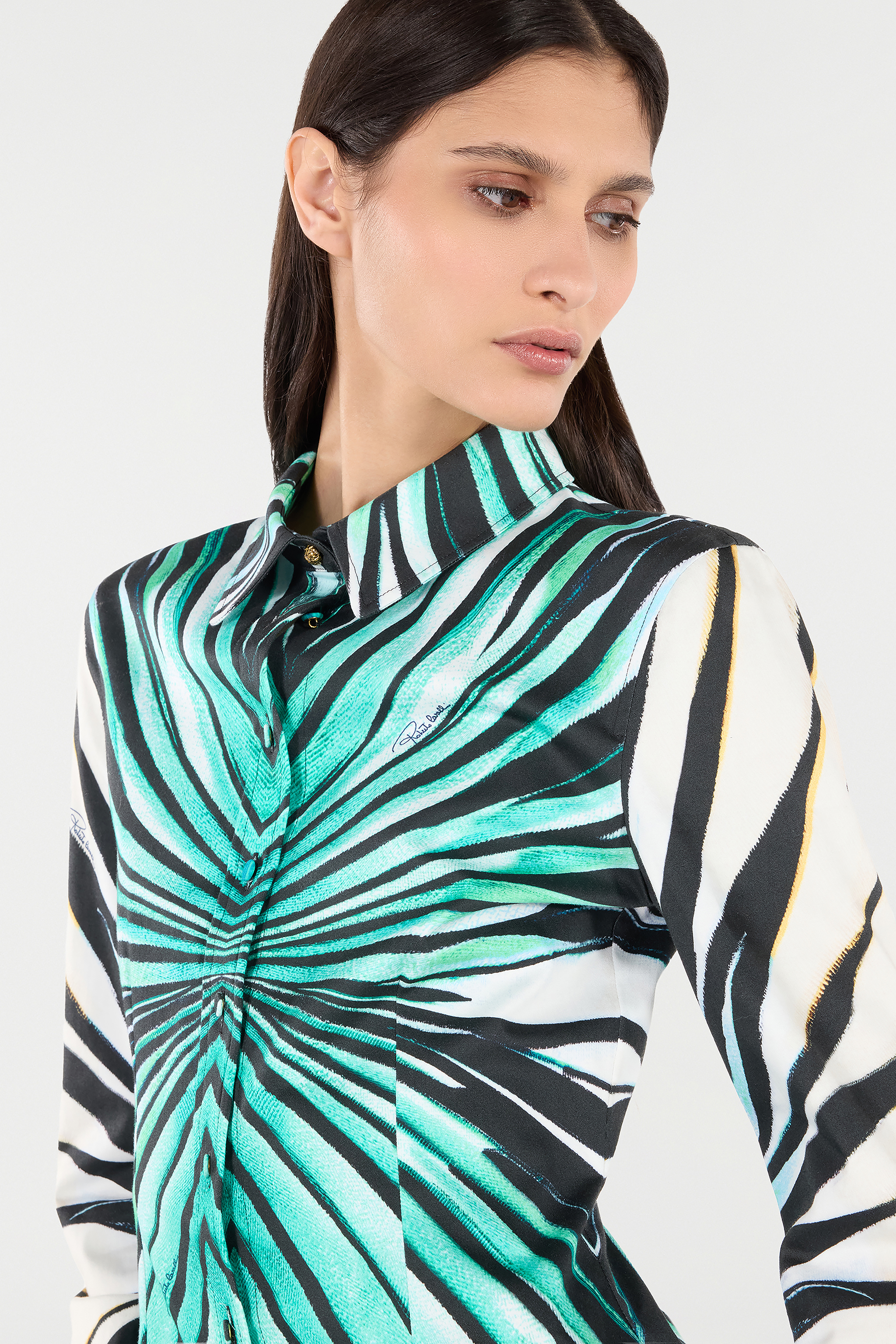 Shop Roberto Cavalli Hemd Mit Ray Of Sea Print