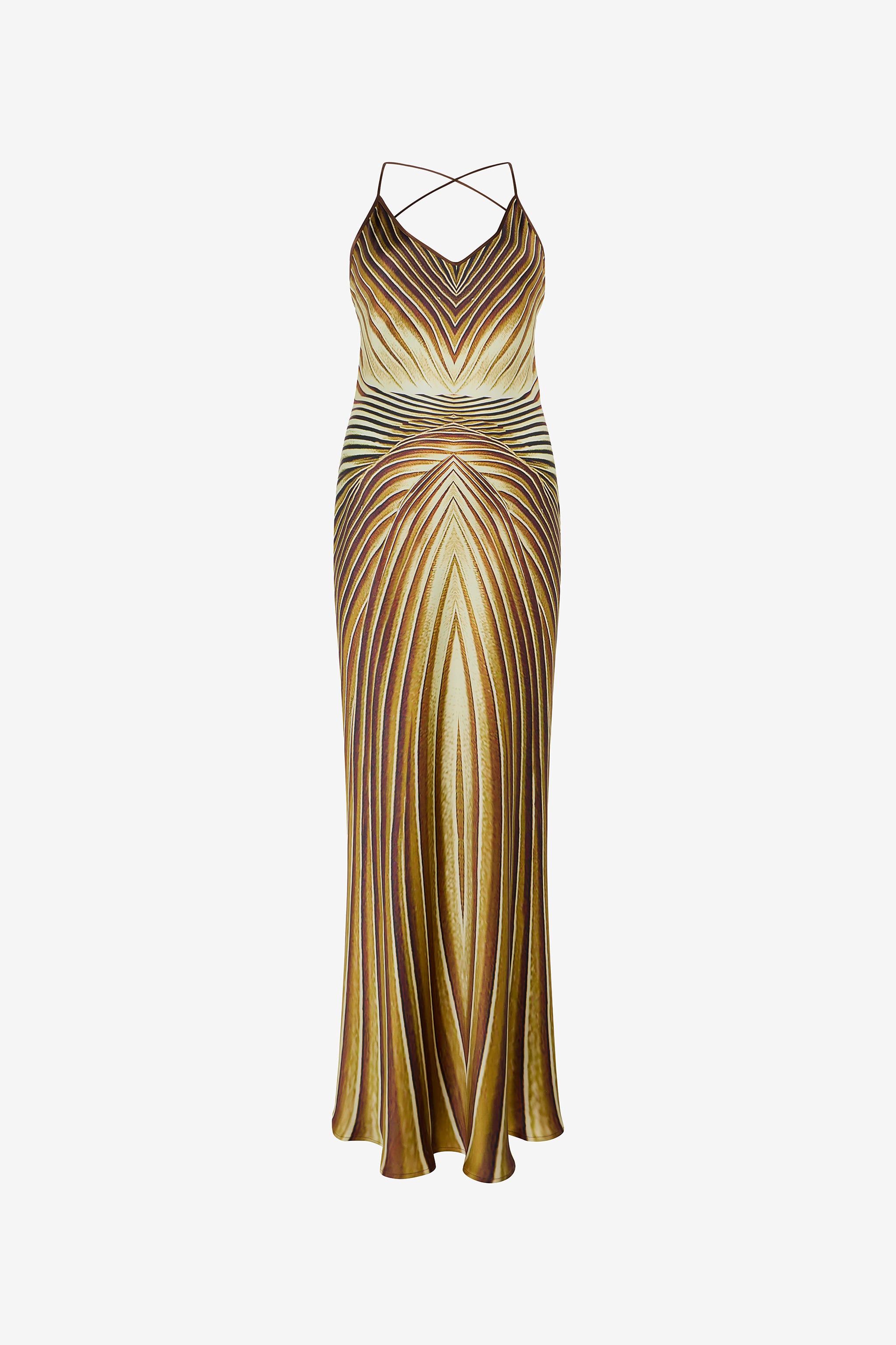 Roberto Cavalli Long Silk Dress with Iside Print